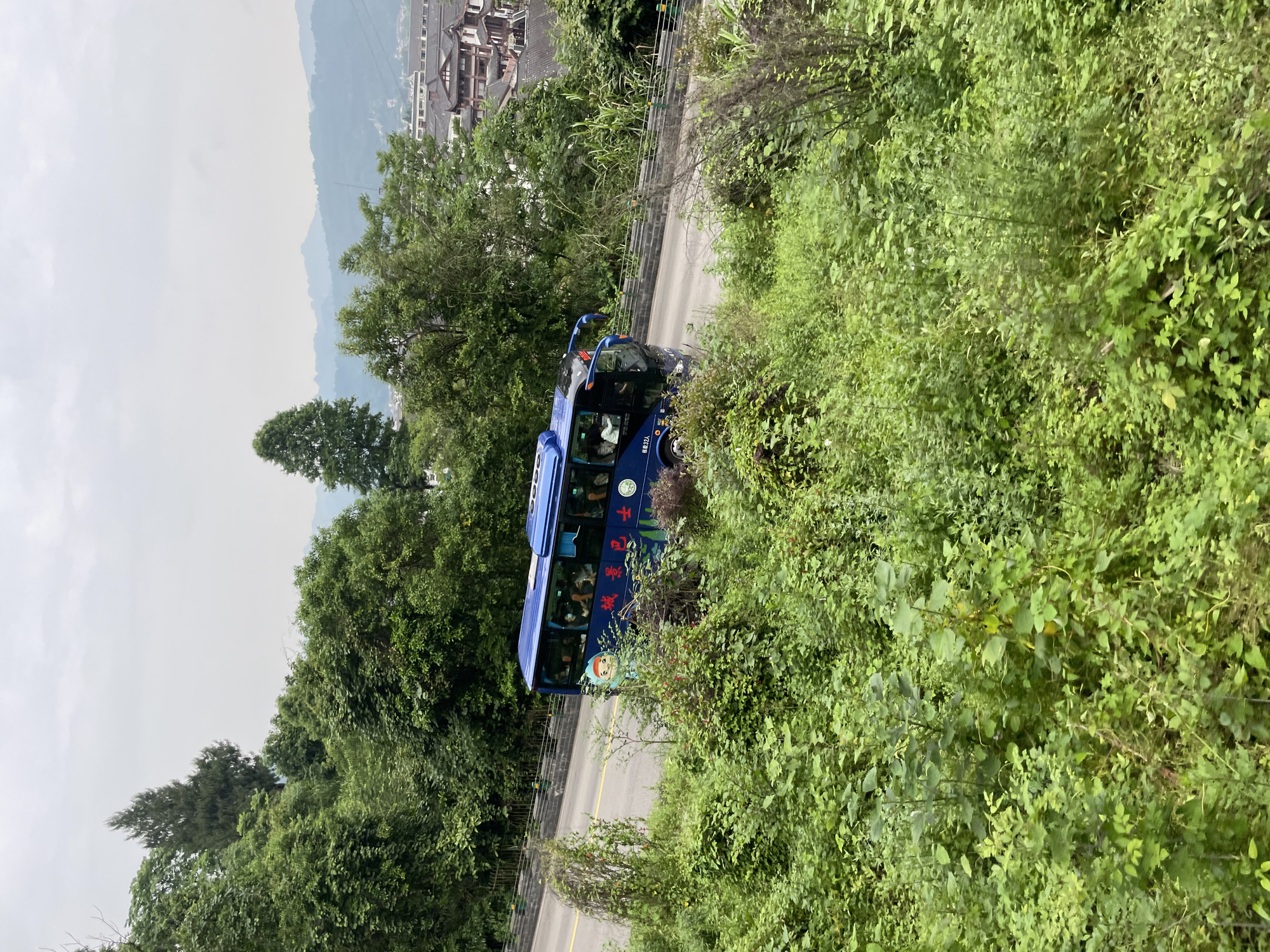 A blue bus is traveling on a road in a lush, green area of Wulingyuan, China. The bus, adorned with characters and images, has passengers visible inside. The road winds through dense vegetation. In the background are buildings and mountains. The sky is overcast.