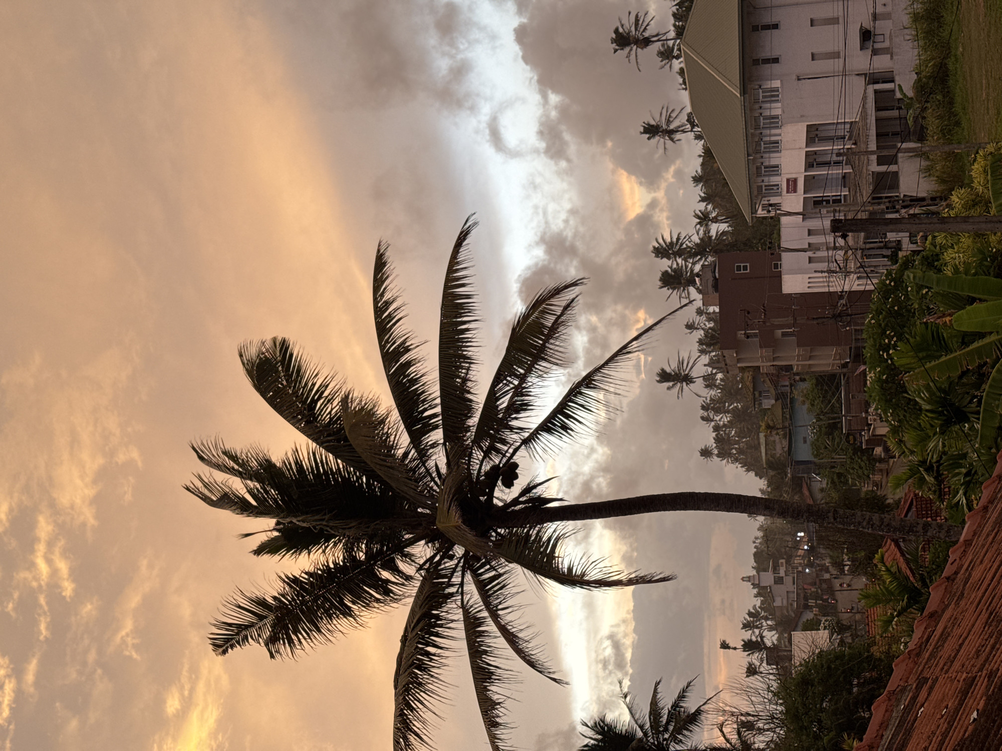 This is a vertical, eye-level shot of a coastal town in Goviyapana, Sri Lanka, at dusk. The sky is filled with dramatic, orange and grey clouds. In the foreground, a large palm tree dominates the frame, its fronds reaching towards the sky. Behind the palm tree, buildings of varying heights and architectural styles are visible, some appearing to be residential homes and others more commercial. A dense collection of smaller palm trees extends into the background, creating a lush, tropical atmosphere. The overall impression is one of a serene, end-of-day scene in a vibrant coastal community.