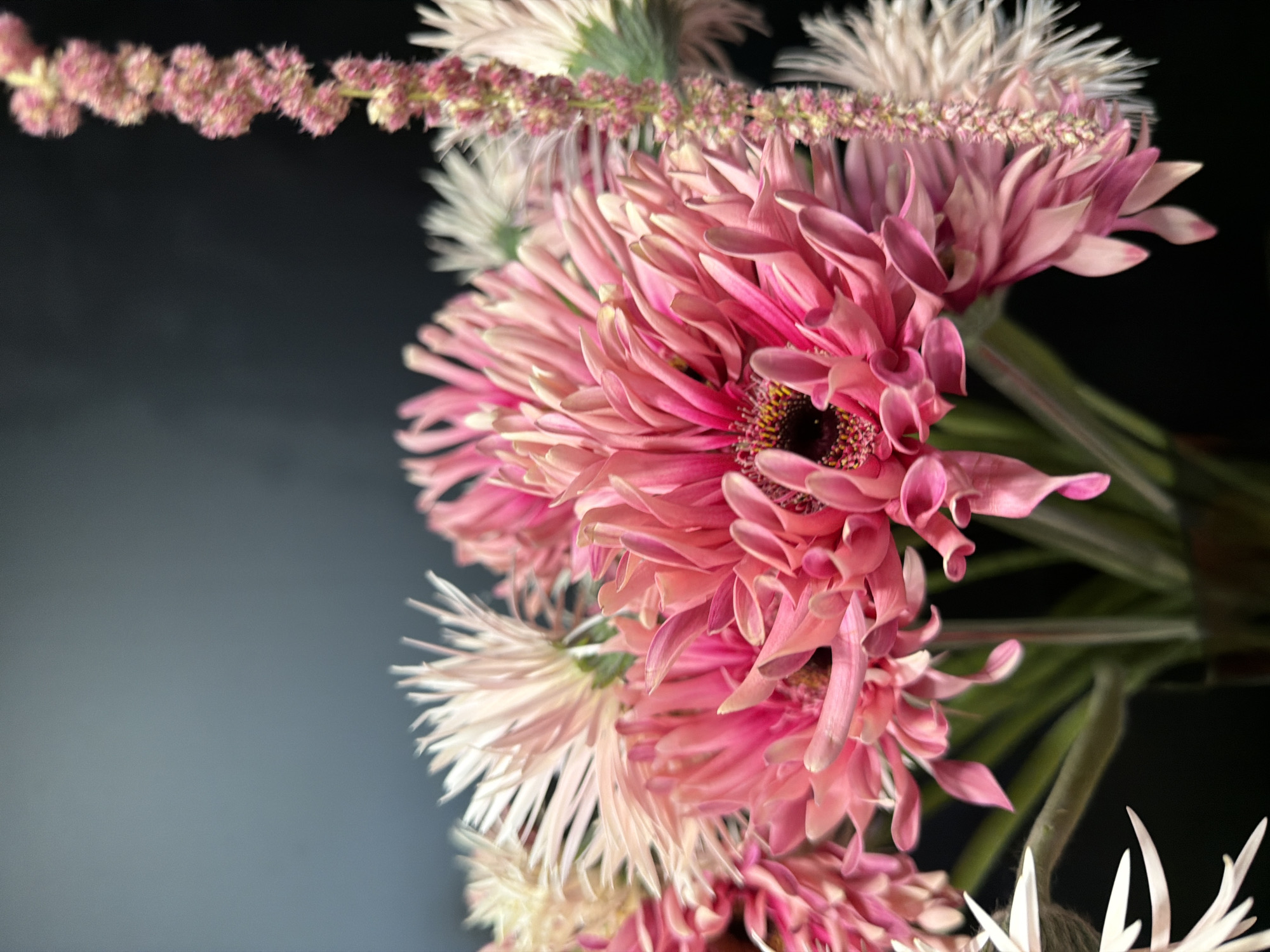This media file is a close-up, high-angle shot of a bouquet of pink and white flowers against a dark, slightly gradient background. The foreground is dominated by large, ruffled pink gerbera daisies, with their petals appearing soft and velvety. Some of the petals are sharply in focus, revealing intricate details and subtle color variations, while others are softly blurred. Behind the pink flowers, several white, spiky flowers are visible, adding a contrasting texture and color. A strand of small, clustered pink flowers, possibly a type of filler flower, drapes across the top of the frame, adding a delicate, decorative element. The lighting is dramatic, with strong highlights on the petals and deep shadows, suggesting a studio setting or a dimly lit environment. The focus is primarily on the flowers, with the background being out of focus. There is no visible text in the image. The overall mood is one of floral beauty and delicate artistry.