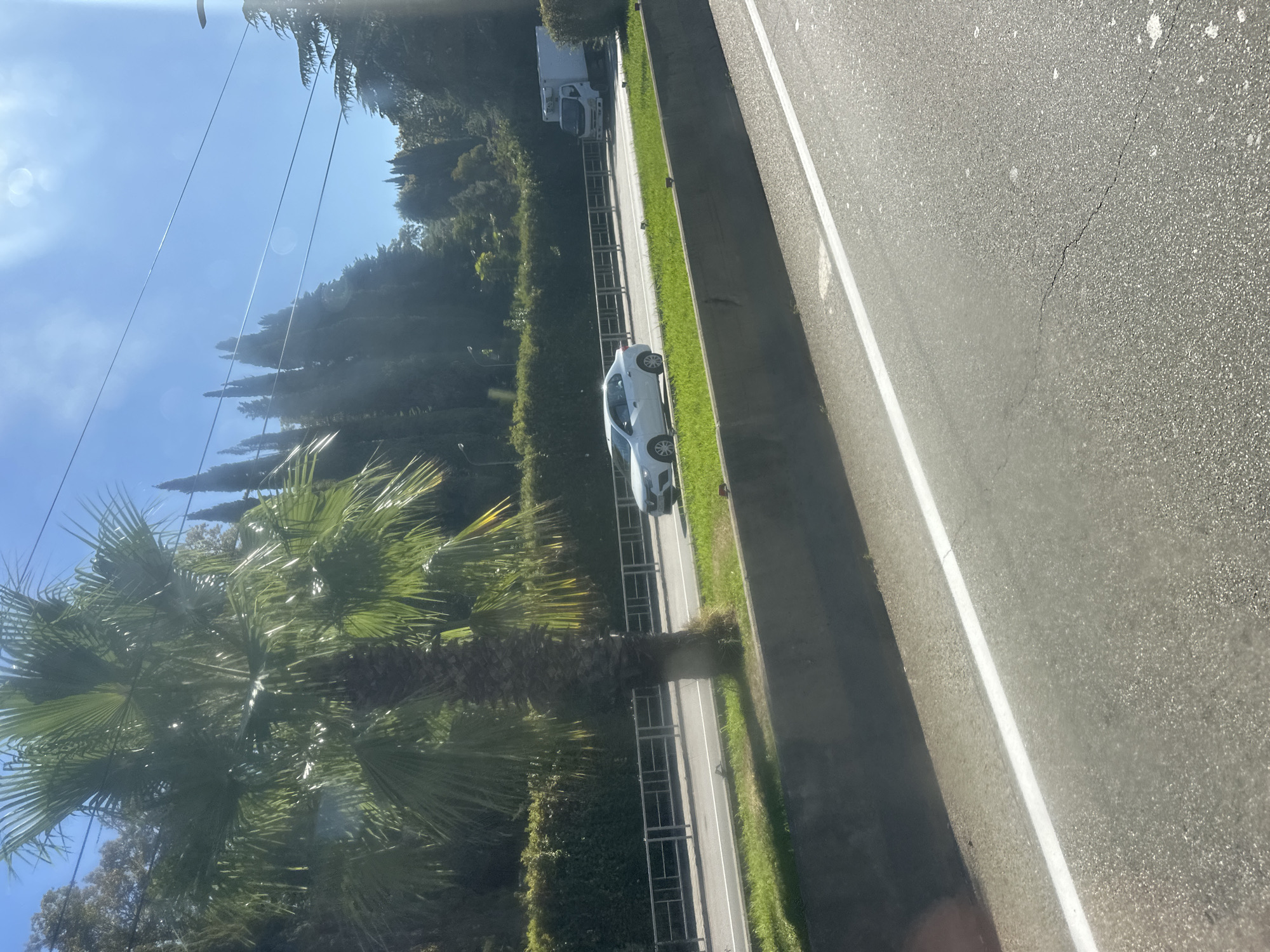 A white sedan is driving on a road in Sochi, Russia, with a palm tree in the foreground. The sky is blue and clear, with some electrical wires running across it. Tall evergreen trees line the background of the image. A white truck is also visible on the road in the distance. The road has a concrete barrier on the right side and a metal fence on the left. The scene is bathed in sunlight, creating some glare and lens flare.