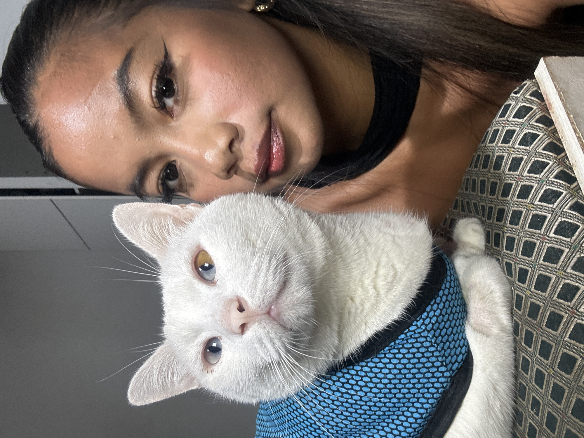 A woman is posing for a selfie with a white cat wearing a blue harness. The woman has dark hair and makeup, and is wearing a black top. The cat has heterochromia, with one blue eye and one yellow eye. The background includes a patterned cushion. There is no information available to confirm the location.