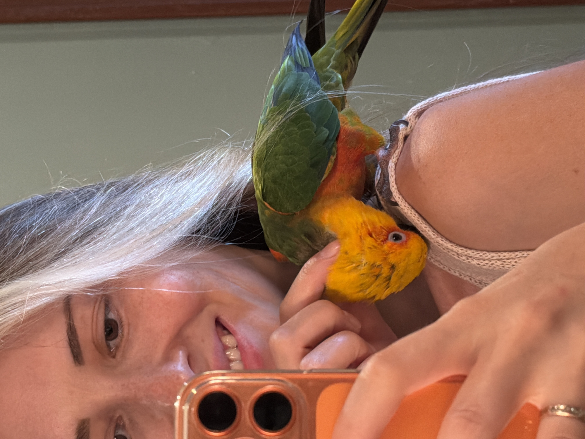 A medium shot shows a person taking a selfie with a Sun Conure parrot perched on their shoulder. The person, a woman with blonde and grey streaked hair, is smiling and holding an orange smartphone in her left hand. The parrot, predominantly yellow and green with some red on its chest, is nibbling at the woman's ear. The background is a neutral, lightly colored wall. The image appears to be taken indoors, possibly in a residential setting. There are no specific landmarks or details to indicate a location in Khimki, Russia.