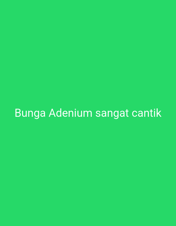 The image is a plain green background with white text in the lower center that reads "Bunga Adenium sangat cantik." There are no discernible elements related to the city of Sambiroto, Indonesia, or any specific location within it. The image lacks any subjects, objects, actions, or interactions.