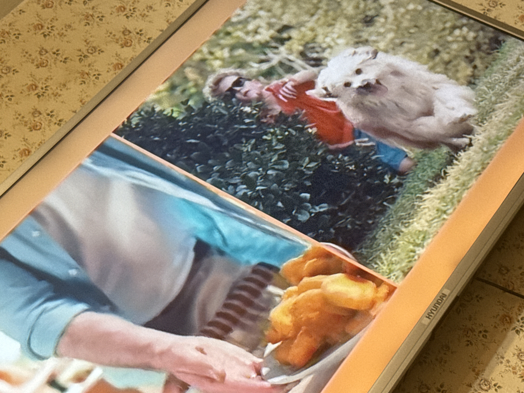 A Hyundai device displays two images. The top image shows a light-skinned person with curly blonde hair wearing a red shirt, sunglasses, and blue shorts lying in bushes next to a white dog on grass. The bottom image shows a light-skinned person with a blue shirt holding a plate of fried food in their hands. The environment includes a floral wallpaper. The location is unknown. Pushkino, Russia is not verifiable from the image.