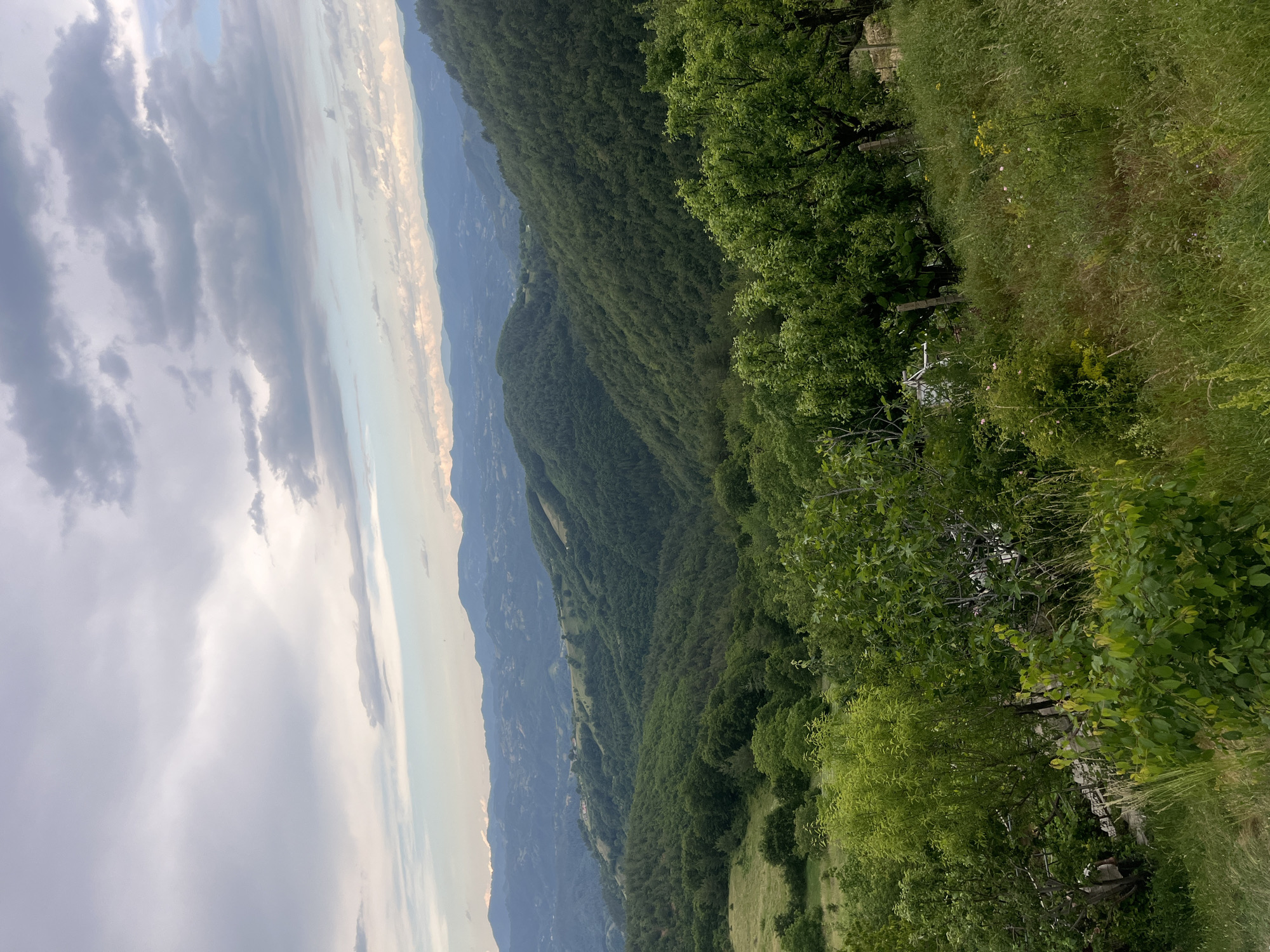 The image depicts a panoramic view of rolling green hills covered in dense forest. In the foreground, there is a grassy slope with several trees and bushes. A weathered wooden fence runs along the edge of the slope. In the mid-ground, the hills are carpeted with lush trees, and in the distance, layered mountain ranges fade into a hazy sky. The sky itself is filled with scattered clouds, with hints of blue peeking through. The overall scene suggests a rural or natural landscape. The location is identified as Presoka, Bulgaria, indicating a mountainous, possibly agricultural or forested region. There are no visible people, animals, or specific structures that would suggest urban activity or a particular event.