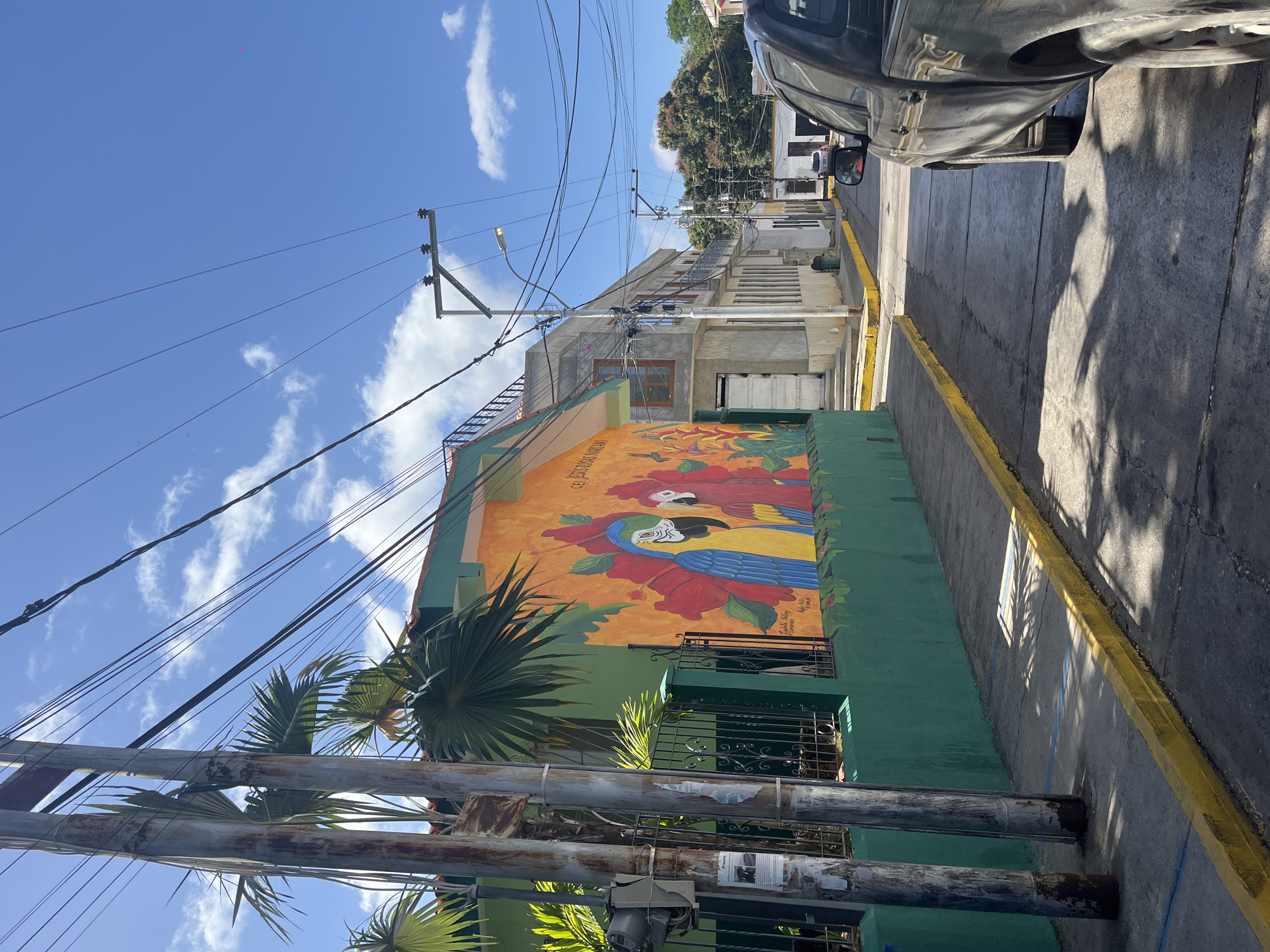 The image depicts a vibrant street scene on a sunny day, likely in a tropical or subtropical urban setting. The central focus is a building adorned with a large, colorful mural on its side. The mural features two prominent macaws, one red and one blue, intricately painted amidst large, red and orange hibiscus-like flowers. The building itself has sections painted in bright orange and green, with windows protected by decorative metal grates.
In the foreground, several utility poles are visible, supporting a dense network of black power lines that crisscross the bright blue sky. Scattered white clouds are present in the sky. Palm fronds from nearby vegetation partially obscure parts of the mural and the utility infrastructure. A street lamp is attached to one of the poles.
To the right of the building, a narrow asphalt road with a distinct yellow painted curb stretches into the distance. A dark-colored vehicle, possibly a car or truck, is partially visible parked on the side of the road. Strong, defined shadows are cast across the street and buildings, indicating direct and bright sunlight, suggesting it is mid-morning or early afternoon. In the background, other buildings line the street, accompanied by lush green trees.
Text visible on the mural reads "QUE FLOREZCA EL CEMENTERIO" (Let the cemetery bloom/flourish) at the top. Below the blue parrot, there is a dedication that states "Por sus manos. A Loli, Ruby, Carmen y Emilia," followed by "2020 PR". No people are distinctly visible, and no specific activity is taking place beyond the static street view.