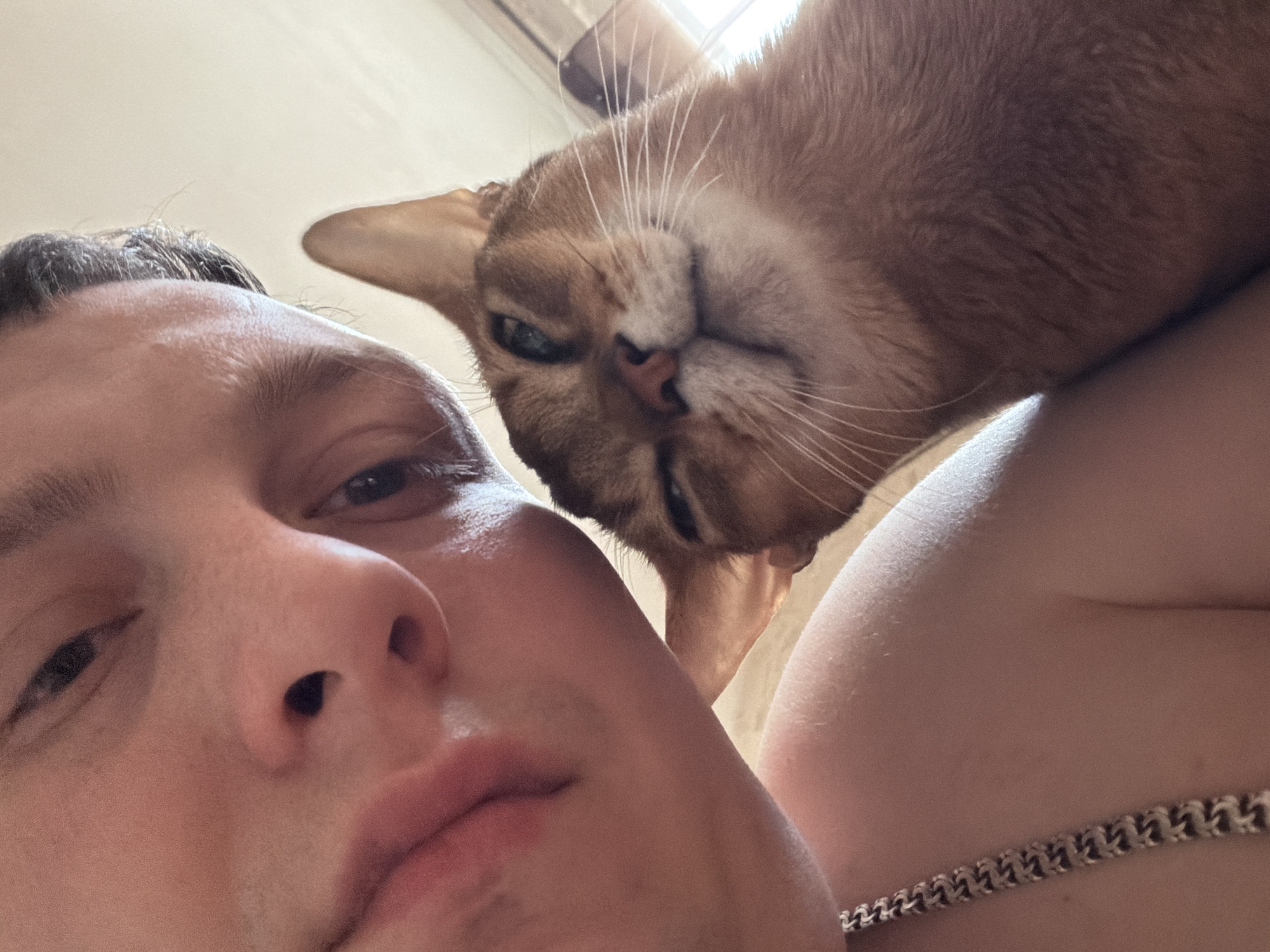 A man is taking a selfie with a ginger-colored cat. The man's face is close to the camera, with his nose and mouth prominent. The cat is perched above him, its head tilted towards the camera. A silver chain is visible on the man's shoulder, suggesting he might be wearing a necklace. The location is Chaikovsky, Russia.