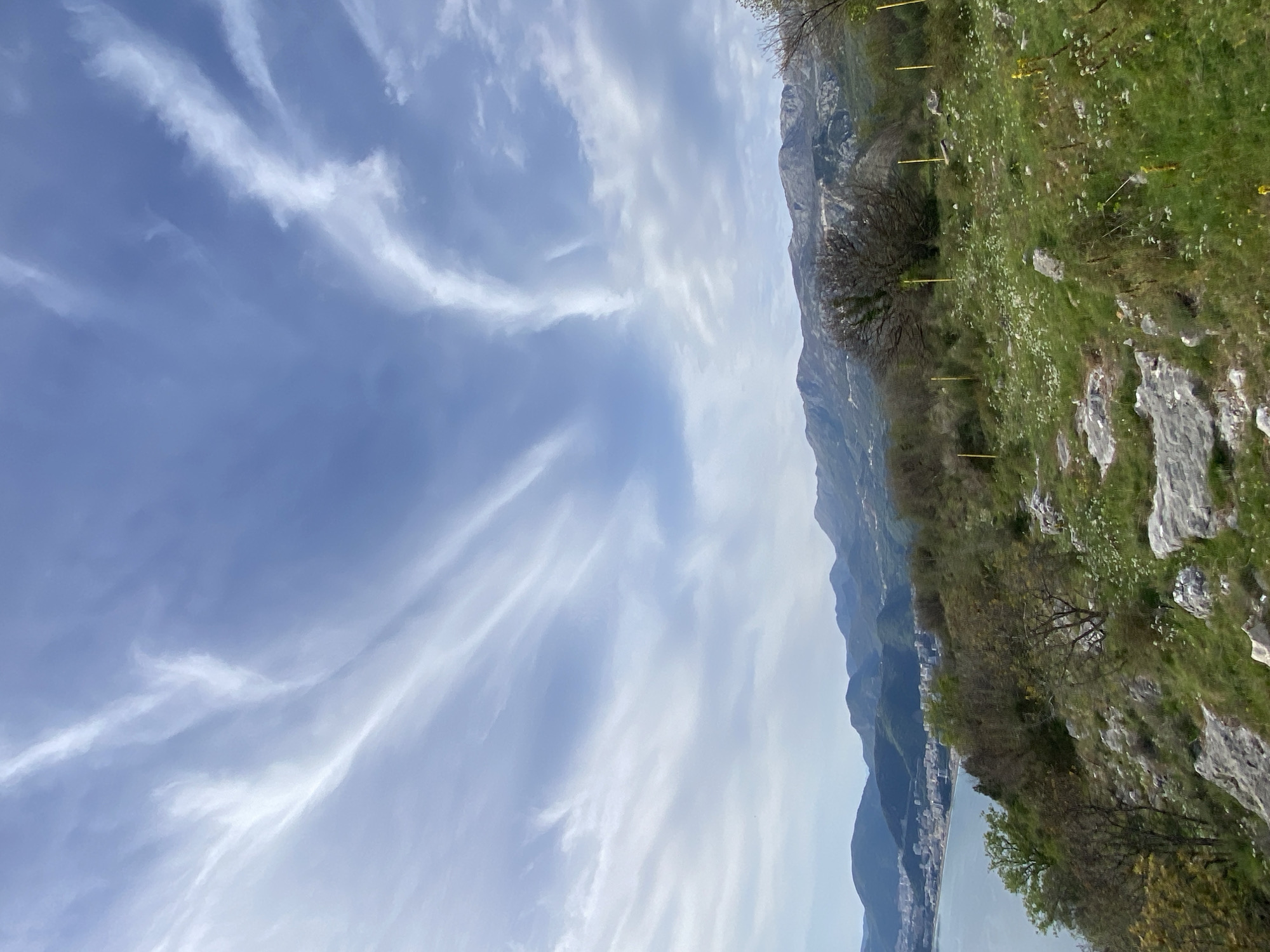 The image depicts a landscape scene in Čelobrdo, Montenegro. The view is from an elevated position, likely a hillside. The foreground consists of a steep, grassy slope with scattered rocks and wildflowers. A few small trees are visible along the slope.
In the mid-ground, a mountain range stretches into the distance. Along the lower slopes of the mountains are clusters of buildings, indicating a town or village. A body of water, potentially the Adriatic Sea, is partially visible at the base of the mountains.
The sky occupies a significant portion of the image and is characterized by streaks of cirrus clouds against a pale blue backdrop.