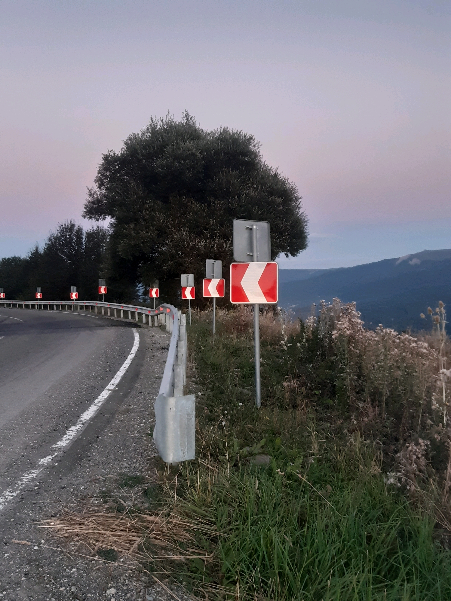 The image depicts a winding road in a mountainous region, likely in the vicinity of Verona, Georgia, given the context. The road is paved and bordered by a guardrail on the right side. Several road signs indicating sharp turns are strategically placed along the curve, with red and white reflective markers. The landscape is characterized by lush green vegetation and trees, particularly on the right side of the road where wild grasses and plants grow. In the background, rolling hills and mountains are visible, shrouded in a soft, twilight sky. The overall scene suggests a remote, natural setting at dusk or dawn. No people are present in the image.