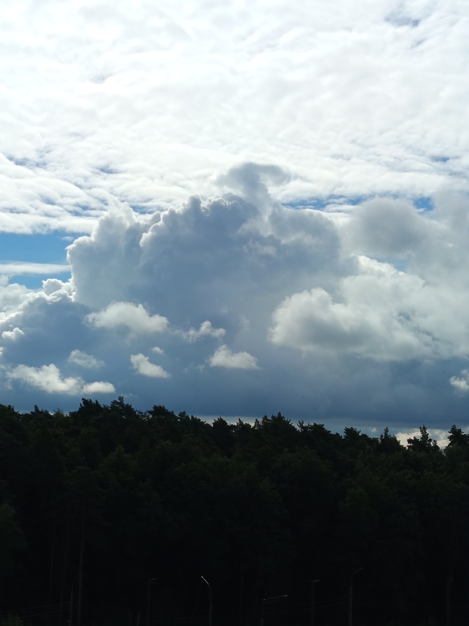 The image depicts a landscape scene with a dark, silhouetted forest in the foreground and a dramatic sky filled with clouds in the background. The forest appears dense and covers the lower portion of the image, with the tops of trees creating an uneven, jagged horizon. Several streetlights or poles are visible within the silhouetted forest area, some with visible light fixtures.
The sky dominates the upper two-thirds of the image and is characterized by a large, cumulonimbus cloud formation that appears to be the focal point. This massive cloud is a bright white in some areas where it is illuminated by the sun, and shades of grey and blue where it is in shadow. Surrounding this central cloud are smaller, wispy clouds and patches of blue sky. The overall impression of the sky is one of dynamic weather activity, possibly indicating an approaching storm or a recent one. The scene is static and captured from a distance, providing no information about specific people, actions, or interactions. The location is identified as Unknown, Unknown.