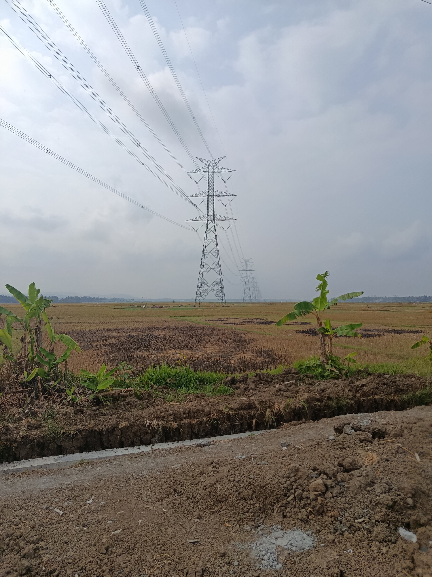 This is a full outdoor shot of a rural scene in Desa Rawajaya, Indonesia, under a cloudy sky. The foreground is dominated by a dirt path and disturbed soil, suggesting recent landscaping or construction, with a narrow trench containing a concrete channel running parallel to the path. To the left of the path, several banana plants with large green leaves are growing. Beyond this, a vast, flat field stretches into the distance, with the stubble of harvested crops, appearing golden brown. In the middle ground and extending into the background, a series of tall, lattice-style electricity pylons march in a line across the landscape, carrying power lines that fan out across the sky. The pylons are spaced out, with one in the immediate middle ground and others receding into the hazy distance. The horizon is marked by a line of trees and distant hills. The overall atmosphere is one of agricultural activity and infrastructure in a rural setting.