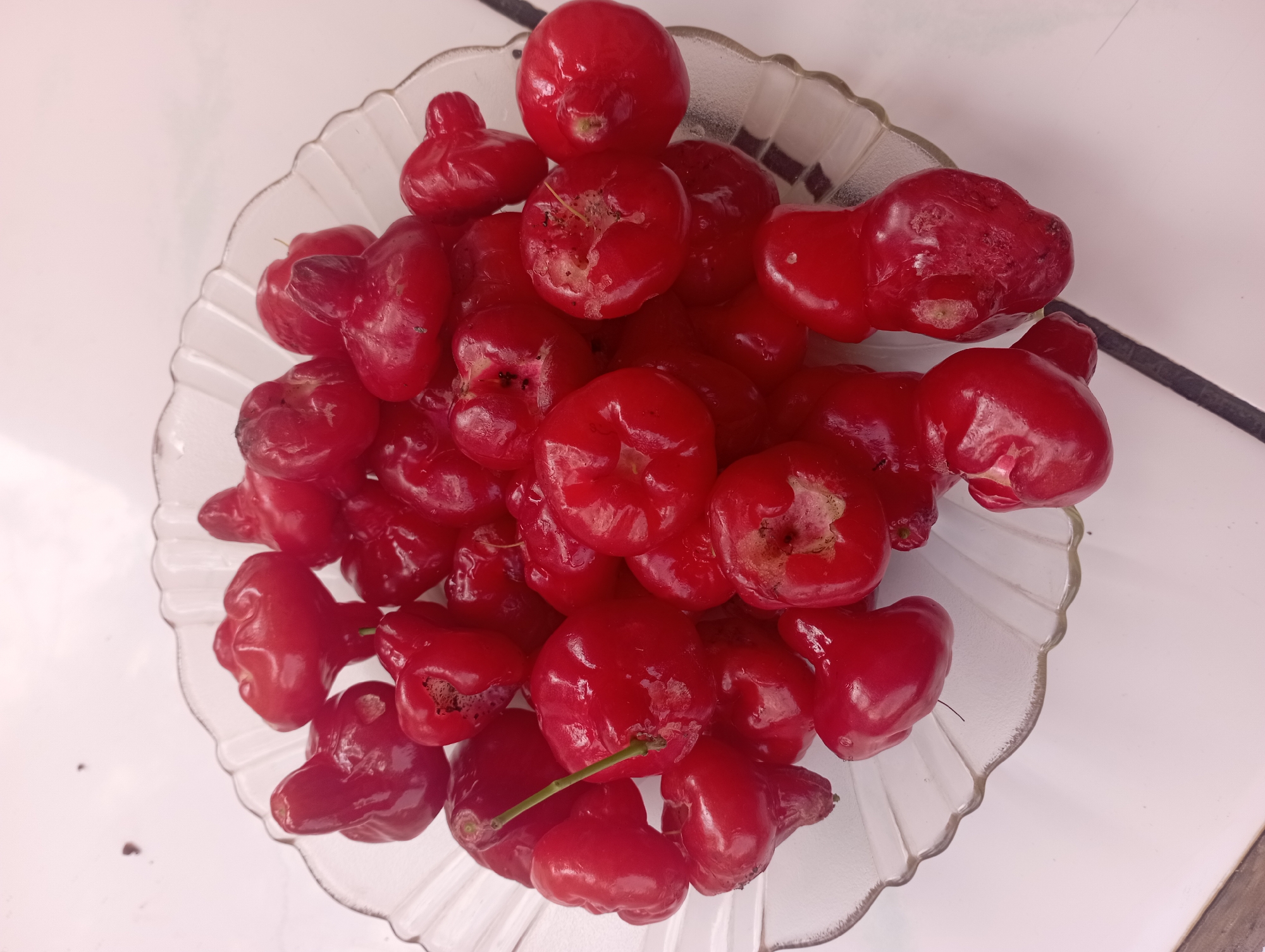 A close-up overhead shot shows a clear glass bowl filled with ripe, red rose apples. The bowl has a scalloped edge. The rose apples are plump and vary in size, with some exhibiting minor imperfections or blemishes. They are piled high in the bowl, creating a textured surface. The background is a light-colored, flat surface, possibly a countertop, with a faint, dark diagonal line visible. The lighting appears to be natural, casting soft shadows. The image does not depict any people or specific city locations.