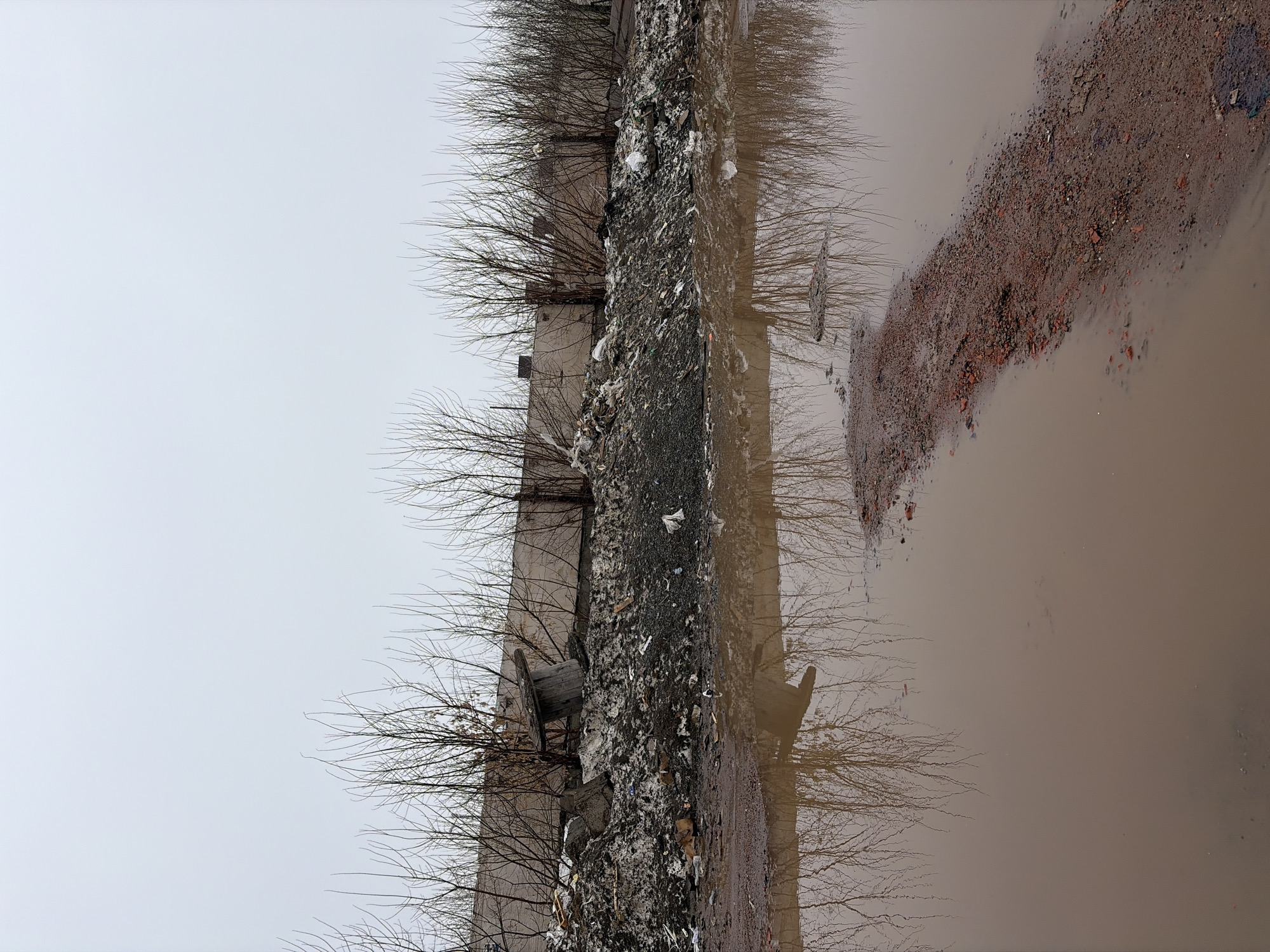 The image shows a desolate urban scene in Izhevsk, Russia, on an overcast day. A concrete wall runs vertically, parallel to a patch of barren trees. Litter is scattered along the base of the wall. Adjacent to the wall is a muddy expanse of water, reflecting the trees and sky. On the right side of the frame, a stretch of ground with red brick debris interrupts the water's surface.