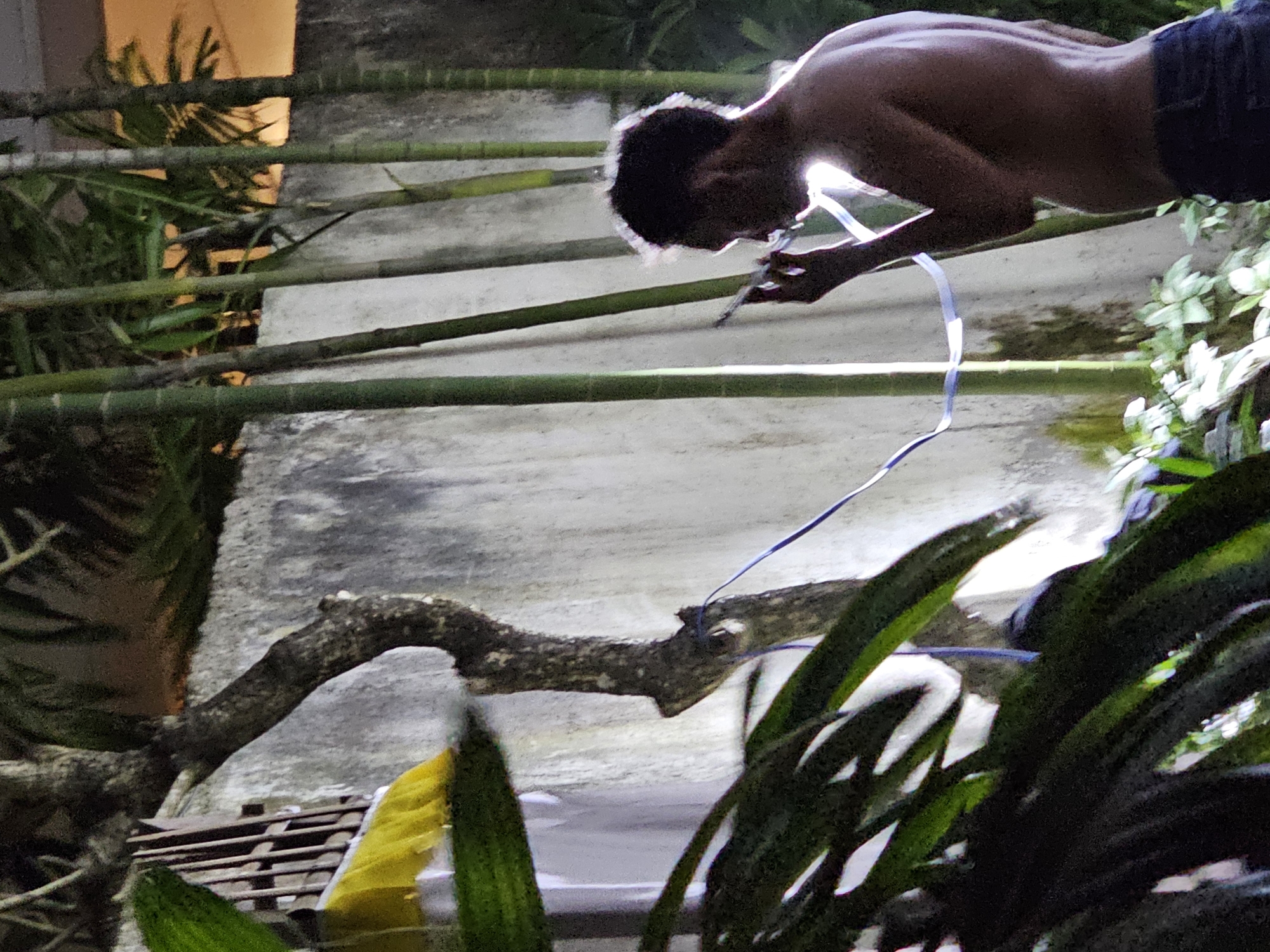 A shirtless person in dark shorts leans forward, holding a small object near their face, possibly using it to interact with a thin blue wire that runs down towards the lower left of the frame. The background includes bamboo-like poles running horizontally across the scene. Behind them is a light-colored wall or structure. The lower portion of the frame features green foliage, and to the left, there is a dark, textured object with yellow near it. The photograph was taken at night and the location is Denpasar, Indonesia.
