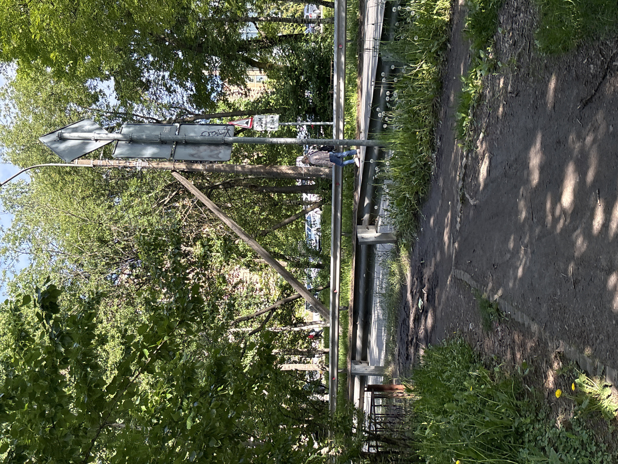 The image, rotated vertically, depicts an outdoor scene under bright daylight, likely a park or roadside area in Saint Petersburg, Russia. A dirt path stretches along the right side of the frame, showing varied textures of earth, shadows, and sunlit spots. Adjacent to the path, a strip of vibrant green grass grows, featuring numerous white dandelions and other verdant plants.
A horizontal metal barrier or guardrail runs through the midground, separating the grassy area from a paved surface beyond. A tall metal pole rises from this barrier, supporting several road signs. One sign is an arrow pointing left, and its reverse side bears visible graffiti, including the Russian word "стоп" (stop). Below this, a white triangular warning sign with a red border and a black exclamation mark, common in European road systems, is prominent. Beneath the warning sign, two rectangular white signs are attached, each displaying "30M," with one also indicating an upward arrow, likely signifying "30 meters."
A lone individual, seen from behind, walks along the paved surface behind the metal barrier. They are dressed in a light-colored top and blue jeans, carrying a backpack. The background is dominated by dense, leafy green trees, suggesting a warm, summer-like season. Through the foliage, parts of distant buildings and parked vehicles can be glimpsed. The presence of strong sunlight and distinct shadows indicates it is daytime.