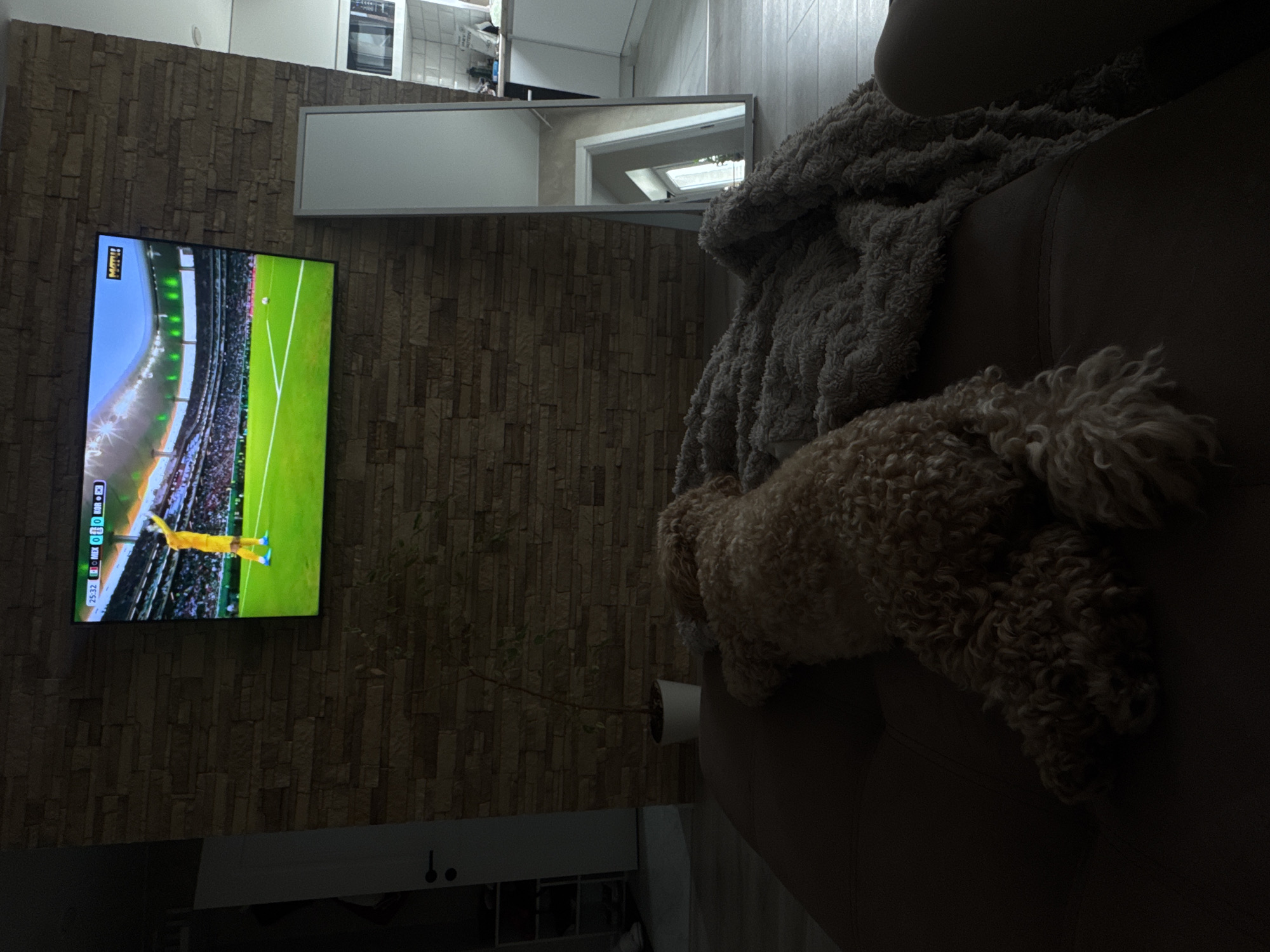 The image depicts a dimly lit living room interior in Saratov, Russia. The primary subjects are a television displaying a soccer match and a dog resting on a sofa. The television screen, positioned on a stone-patterned wall, shows a soccer game with players on a green field. The score "25:32" and "0:0" are visible on the screen, indicating the game is in progress. A long, rectangular mirror hangs above the television. To the right, a dog with curly, light brown fur is nestled on a plush, textured blanket draped over a sofa. The lighting suggests it is evening or nighttime. The overall mood is relaxed and domestic. The visible text on the TV screen includes "25:32", "0:0", and what appears to be team names or abbreviations.