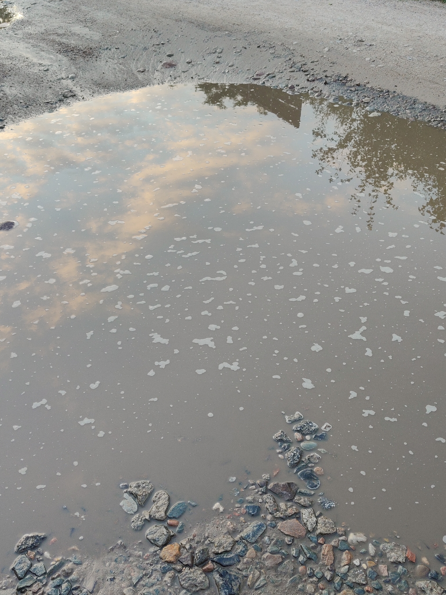 The image shows a muddy puddle on a gravel road, reflecting the sky and surrounding trees. The puddle has a layer of foam on its surface. There are various stones and pebbles visible at the bottom and edges of the puddle. The scene appears to be outdoors, possibly in a rural or semi-urban area. There are no people or specific landmarks identifiable that would pinpoint the location to Rumia, Poland, or any other specific city. The lighting suggests it might be late afternoon or early morning, given the soft light and reflections.