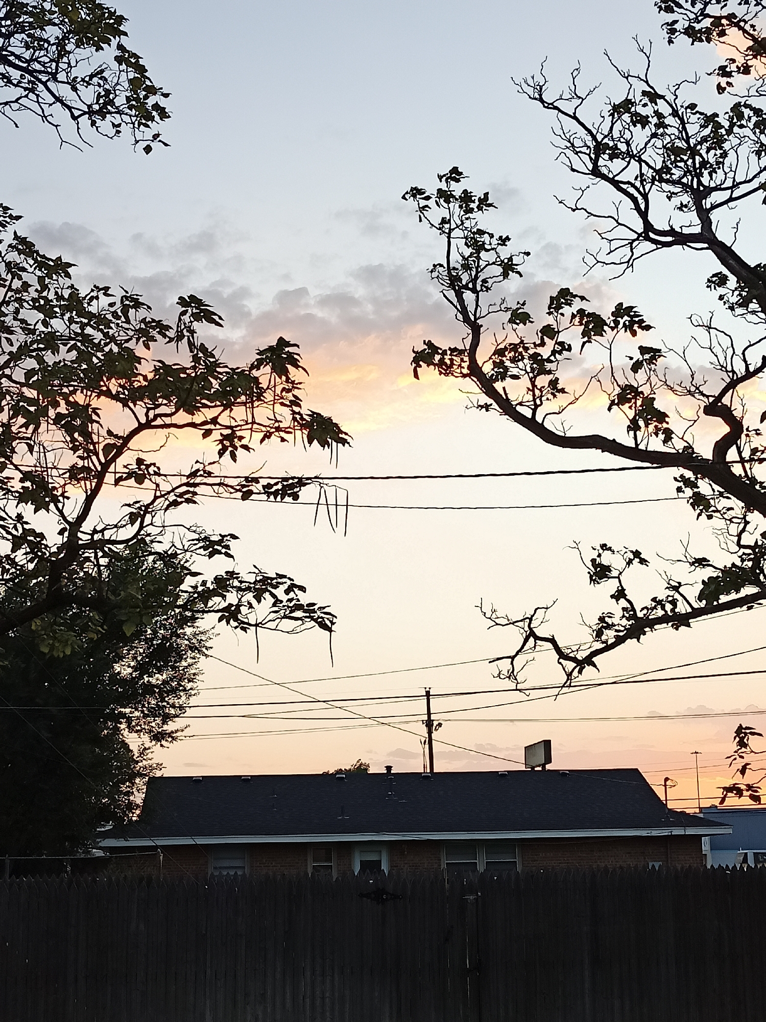 The image captures a twilight scene in Amarillo, Texas, USA, with a focus on the sky, trees, and residential structures. The sky exhibits a gradient of soft blues, grays, and subtle oranges and pinks, indicative of sunset or sunrise. Silhouetted against this sky are the intricate branches of several trees, some with sparse leaves and others appearing bare. Power lines crisscross the frame horizontally, adding a man-made element to the natural landscape.
In the foreground, a dark wooden fence runs across the bottom of the image, obscuring the lower portion of a brick house. The house has a dark, pitched roof and visible windows. On the roof, a square, metallic structure is present, possibly an air conditioning unit or other rooftop equipment. The overall impression is one of a quiet, suburban evening. No people are visible in the image.