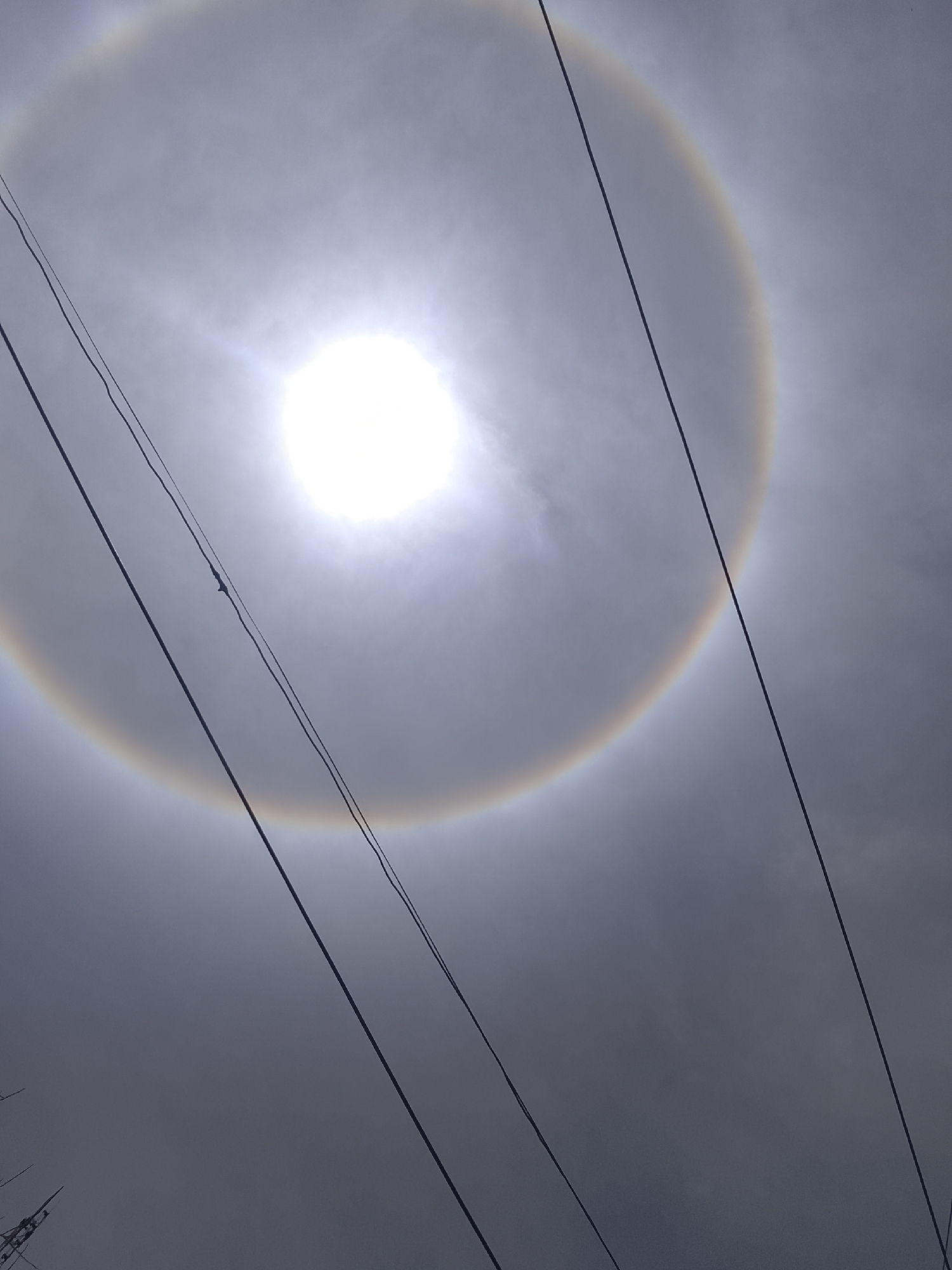 The image shows a bright sun surrounded by a 22° halo, visible through thin, overcast clouds. Power lines are in the foreground, cutting across the view of the sky. The location is indicated as Altagracia, Venezuela. No people are visible.