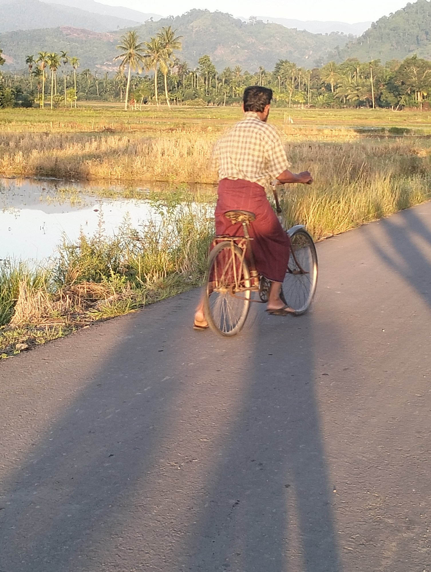 A man rides a bicycle on an asphalt road. He is wearing a checkered shirt and a maroon sarong. The bicycle is old and has a single gear. The road is bordered by tall dry grass on the right and a body of water with reflections of the sky and landscape on the left. In the background, there is a field with rows of palm trees and other vegetation, leading to a hilly landscape under a pale sky. The image appears to be taken in a rural area, possibly in Meunasahalue, Indonesia, given the presence of palm trees and the general landscape. The lighting suggests it is either early morning or late afternoon, as long shadows are cast across the road.