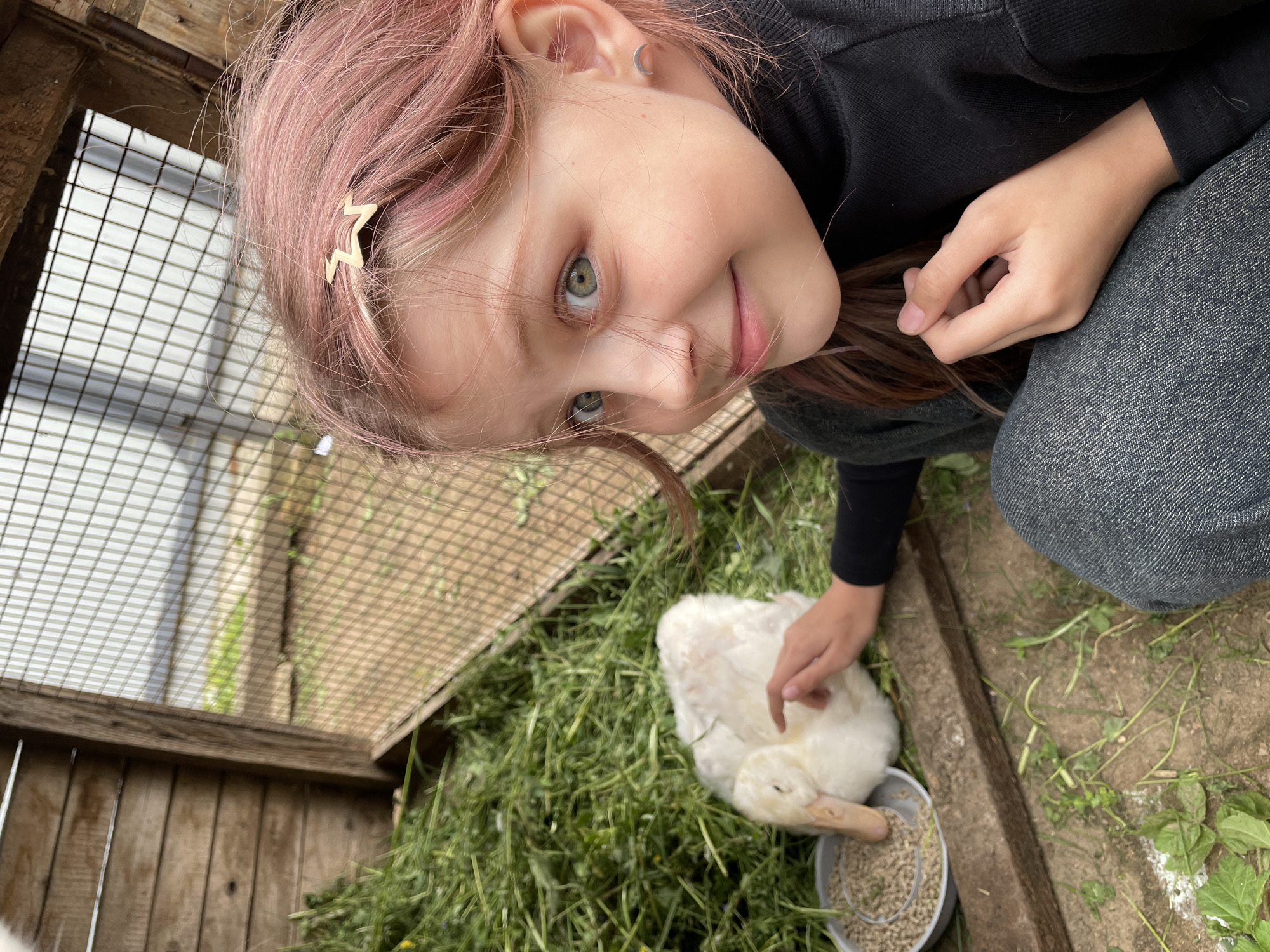 A young girl with light pink hair, wearing a black long-sleeved shirt and grey pants, is interacting with a white duck in what appears to be a pen. The duck is near a silver bowl filled with pellets. The pen is constructed of wood and wire mesh, and the ground is covered with green hay. The location is Балдейка, Russia.