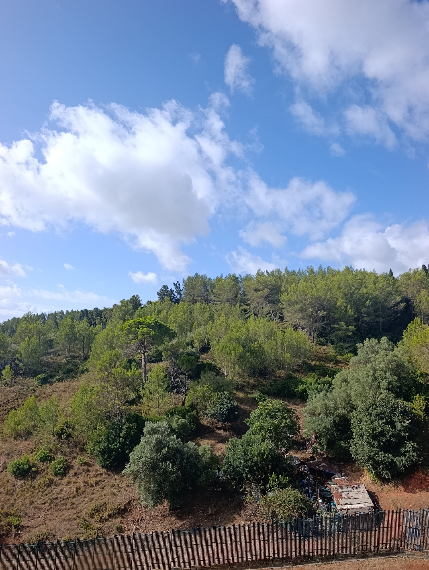 The image depicts a hillside covered in lush green trees, predominantly pines and other foliage, under a bright blue sky with scattered white clouds. The terrain is uneven and appears to be a natural landscape, possibly a park or a wooded area. In the foreground, there is a dark, slatted fence made of metal. Behind the fence, nestled amongst the trees on the hillside, is a makeshift shelter constructed from corrugated metal and other salvaged materials. The shelter appears somewhat dilapidated and is partially obscured by the surrounding vegetation. The overall impression is one of a rural or semi-rural setting with evidence of informal human settlement. The specific location in Setúbal, Portugal is not identifiable from the image itself.