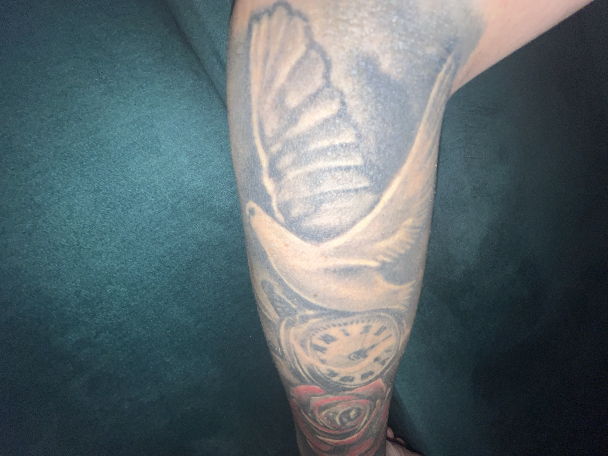 A close-up, low-angle shot focuses on a forearm covered in a tattoo. The tattoo appears to be a sleeve design, with the upper portion featuring a red rose and a clock face. Below this, the tattoo transitions to what looks like a feathered wing or possibly a skeletal hand with feathers. The skin is lightly tanned, and the background is a dark, textured green fabric, likely upholstery. The image does not depict any specific location in Varna, Bulgaria; it is a close-up of a person's arm.