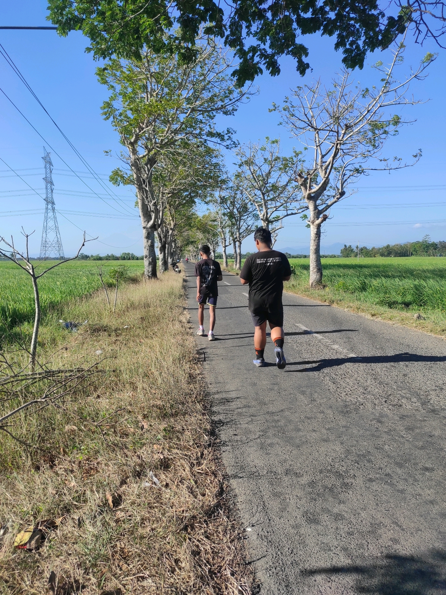 The image shows a paved road in Ngombol, Indonesia, bordered by a grassy verge and a lush green rice field. Two individuals are walking away from the camera on the road. The person in the foreground, wearing a black t-shirt and black shorts, is walking at a slightly faster pace. The second person, wearing a black t-shirt and shorts, is slightly behind and to the left. The road is lined with trees on the right side, and a power transmission tower is visible in the distance on the left. The sky is clear and blue. The overall scene depicts a peaceful rural environment.