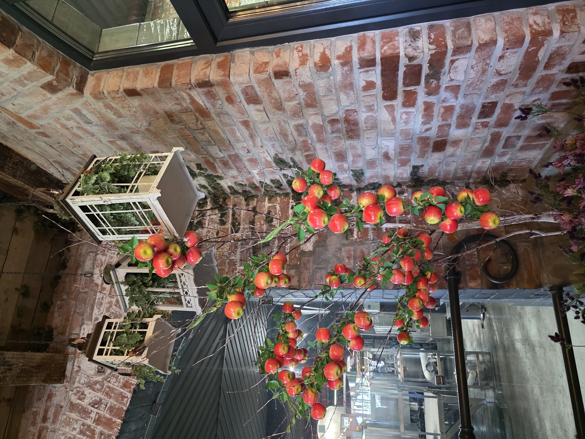 The image captures an interior scene, possibly a restaurant or a cafe, with a prominent decorative apple tree. The tree, adorned with numerous red and yellow apples and sparse green leaves, branches upwards and to the left. Above, two white lanterns are suspended from the ceiling by chains, each containing lush green plants. The background reveals a textured brick wall in shades of red and brown, with some areas showing moss growth. To the left, a glimpse of industrial-style equipment, possibly part of a kitchen or a brewing setup, is visible through a reflective surface. The flooring appears to be concrete. A dark-framed window or door is present on the right side of the frame. The overall ambiance suggests a rustic yet stylish setting. There are no people visible in the image. The location is identified as the city of Nekrasovo, Russia.