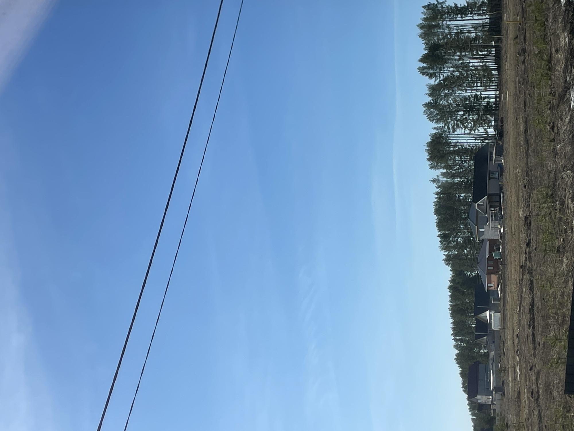 The image shows a scene in Подшивалово, Russia. In the distance, there is a row of newly built houses surrounded by a recently cleared area. Between the houses and the sky is a line of trees. Running through the upper left part of the image are electrical wires. The sky is clear and blue.