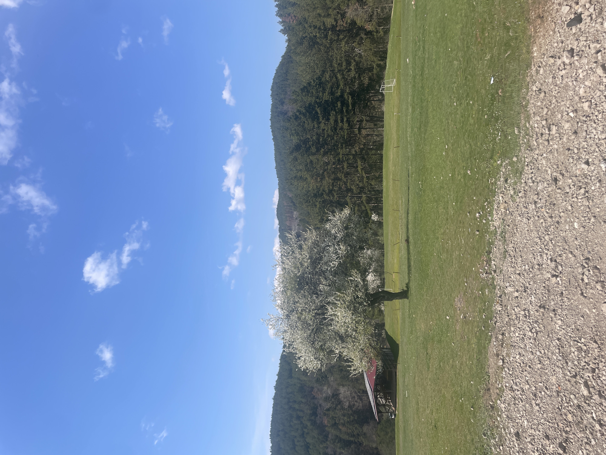 The image shows a landscape with a blue sky and scattered clouds. A tree with white blossoms is prominent in the foreground, partially obscuring a structure with a red roof. Behind the tree is a densely wooded hillside. Adjacent to the wooded area is a grassy field that extends towards a gravelly area on the right. A soccer goal is visible in the distance within the grassy field. The location is likely in a rural or semi-rural area on the outskirts of Sofia, Bulgaria, as the scene shows a mix of natural and recreational elements. No people are visible.