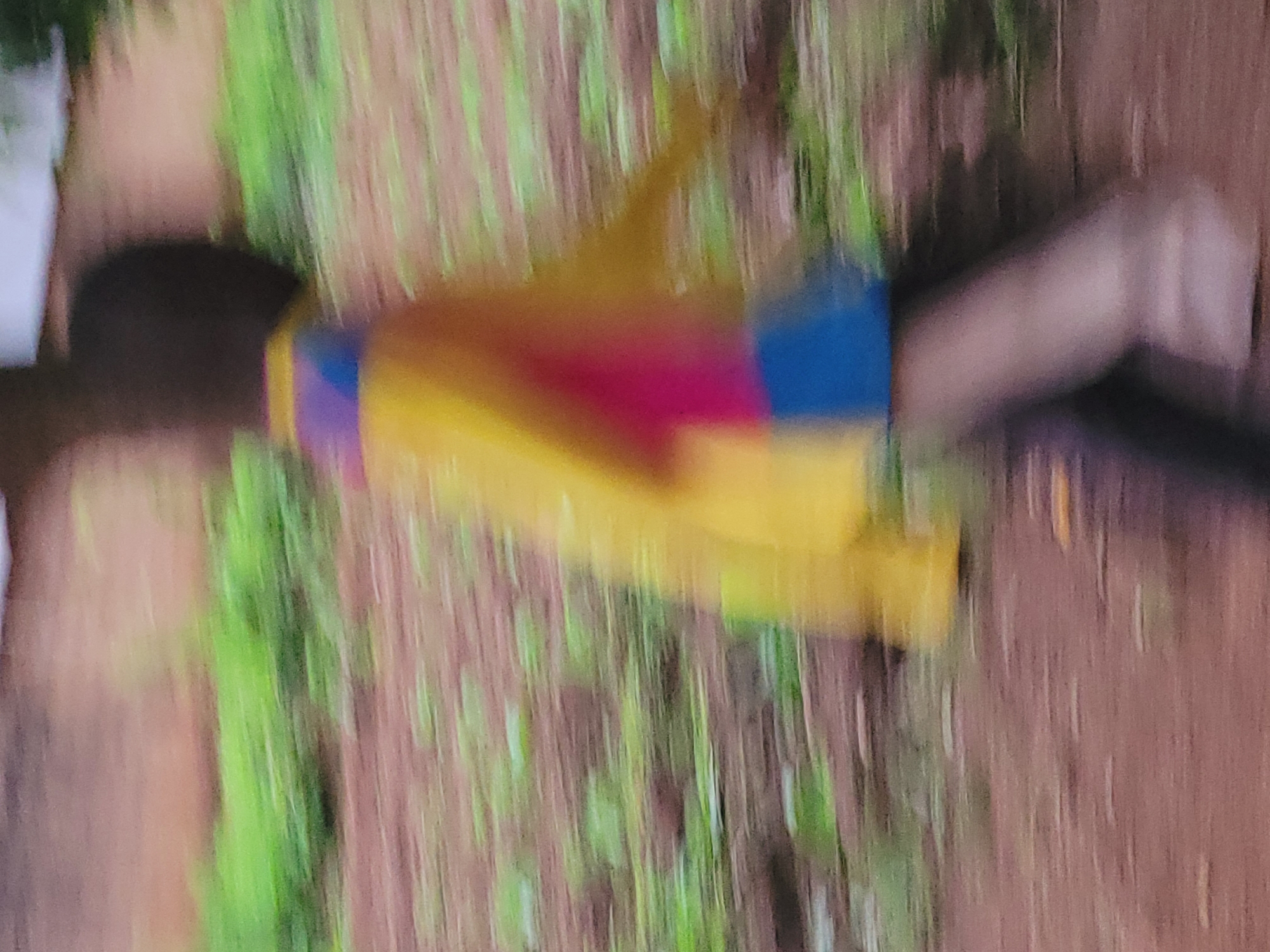 A heavily motion-blurred image shows a single person captured in an outdoor setting, likely running or moving quickly. The individual, who appears to have dark skin or hair, is wearing a brightly colored top featuring large blocks of yellow, a prominent red or pink section across the chest, and a blue section on what appears to be the left shoulder or upper arm area. Their lower body is largely obscured by blur, but a dark leg, possibly in trousers or leggings, and a dark shoe are faintly visible.
The background consists of vertically blurred green vegetation, suggesting trees or tall grass, and a reddish-brown ground or path. The significant motion blur affects both the subject and the background, creating streaks that emphasize the speed of movement or a slow shutter speed during the capture. The reddish-brown soil is consistent with the geographical context of Bukuru, Nigeria. The scene is set during the daytime, though specific time or weather conditions are not discernible due to the blur. No text is visible in the image.