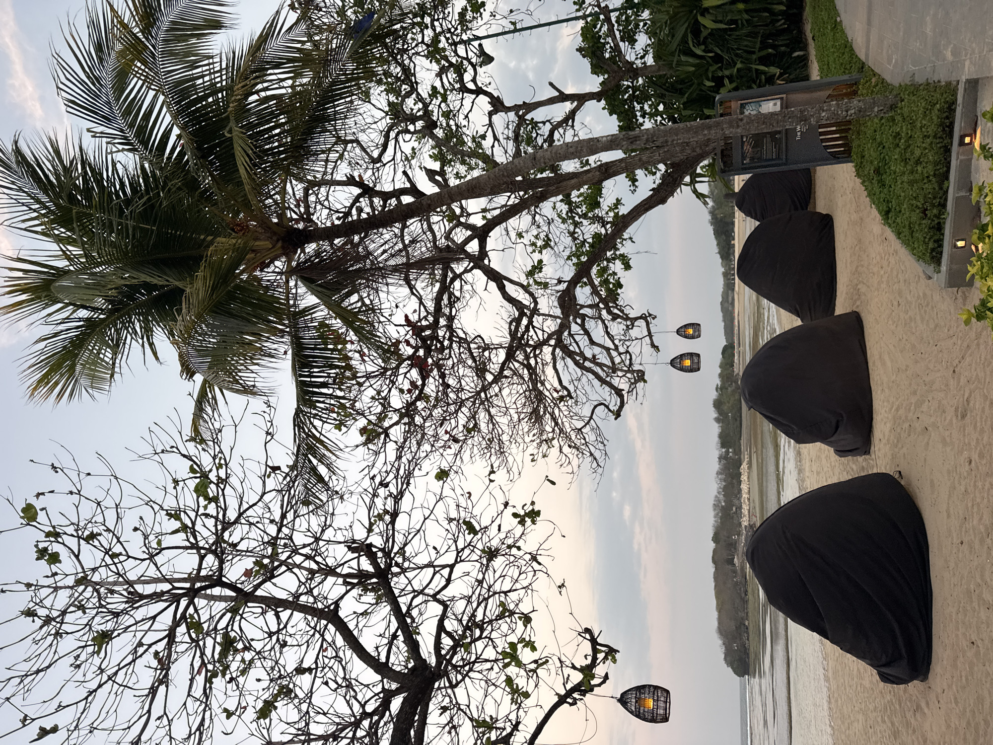 The image depicts a serene beach scene in Kuta Selatan, Indonesia, likely at a resort or cafe situated on the coast. In the foreground, several large, black beanbag chairs are arranged on the sand, suggesting a comfortable seating area for patrons. These chairs are covered, possibly to protect them from the elements or for aesthetic purposes. Suspended from the branches of a large, gnarled tree, which appears to be a cashew tree (Anacardium occidentale) given the leaf shape, are several woven lantern-style lights, adding to the ambient atmosphere.
The beach is sandy and stretches towards the water, which appears to be calm with shallow areas due to low tide, revealing the seabed. In the background, a small, tree-covered island or peninsula is visible across the water. The sky is overcast with soft, diffused light, indicating either dawn or dusk. Palm trees and other lush tropical vegetation are present, framing the scene and emphasizing the tropical location. A pathway lined with manicured greenery and a signpost is visible on the right side of the image, suggesting a developed area and a resort entrance. No people are visible in the frame, contributing to the tranquil and secluded feel of the scene. The overall impression is one of a peaceful, tropical escape.