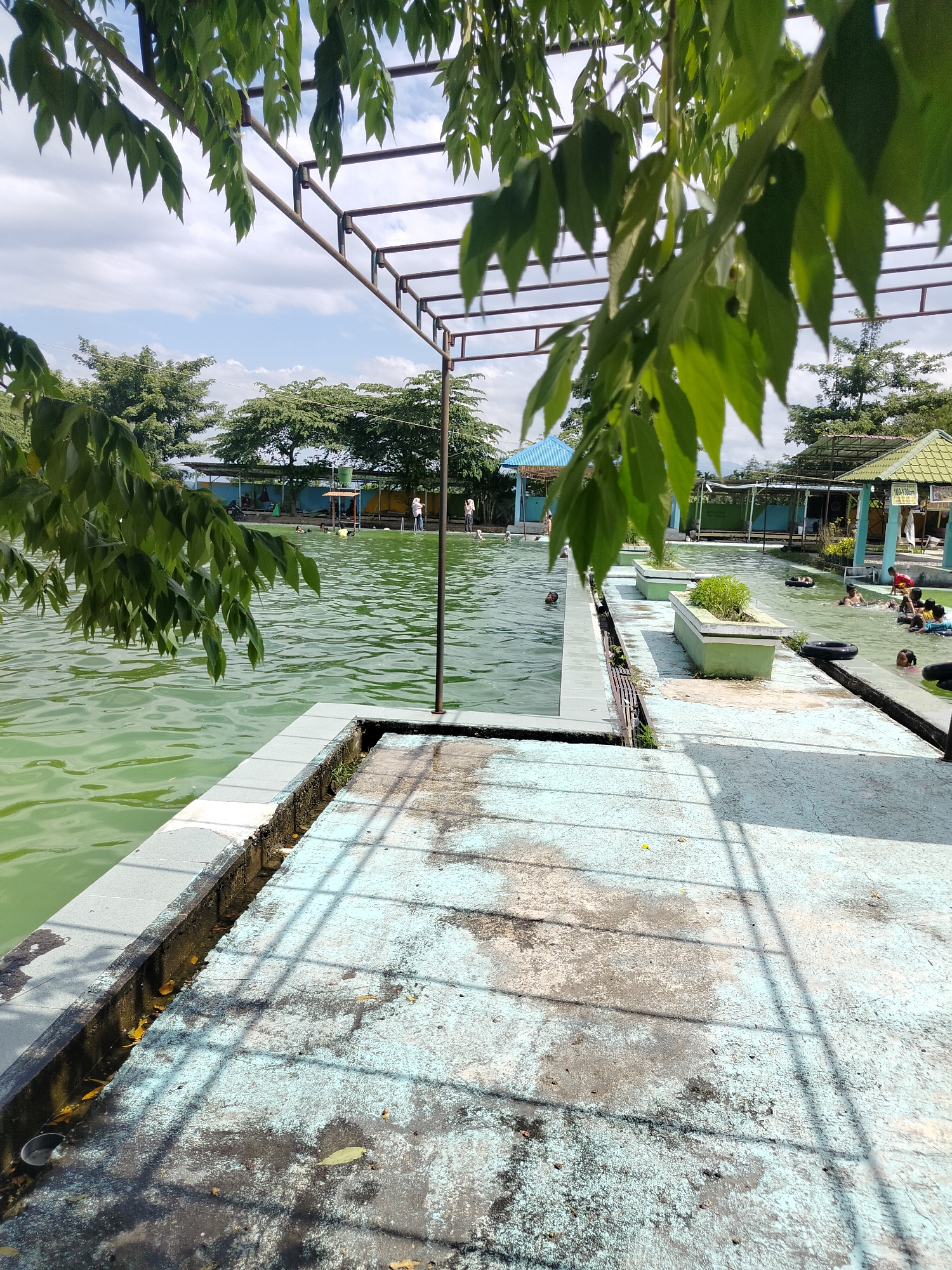 The image depicts an outdoor swimming pool facility, likely in Tegarmiko, Indonesia, on a bright, partly cloudy day. The pool water is a distinctive green hue, with visible ripples indicating activity. A concrete walkway, weathered and showing patches of blue paint, lines the edge of the pool. Lush green leaves from an overhanging tree dominate the foreground, casting shadows across the walkway.
Several individuals are present in and around the pool. In the water, people of various ages are swimming and playing. Some are seen in the deeper sections, while others are in more shallow areas. Along the poolside, there are structures that appear to be shaded seating areas or small cabanas, with people gathering under them. One person stands on the walkway in the middle ground, observing the pool.
The environment surrounding the pool is characterized by more trees and greenery, suggesting a natural or semi-natural setting. Beyond the immediate pool area, there are buildings with pitched roofs, indicative of facilities for patrons. The overall impression is of a recreational public space.