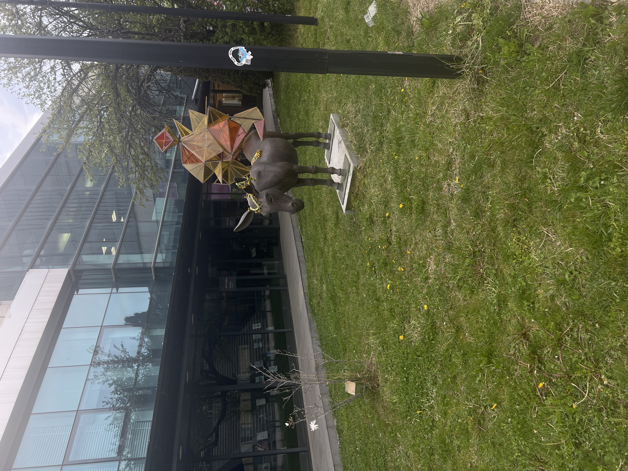 An outdoor scene in Sofia, Bulgaria, features a modern building, a unique animal statue, and a grassy area under bright daylight. The building has a contemporary design with a prominent glass facade, reflecting parts of the sky and trees. Its angular structure is visible, and faint reflections of interior lights or distant elements can be seen in the windows.
In the foreground and center, a dark-colored statue of an animal, resembling a donkey or mule, stands on a rectangular grey base on the grass. The statue is adorned with a golden-yellow crown or garland around its neck. A large, intricate, star-like geometric structure is mounted on its back. This decoration is composed of numerous translucent panels in shades of orange, yellow, and red, creating a striking visual contrast with the statue's dark color.
The ground is covered with green grass, interspersed with yellow dandelions, indicating a springtime or early summer setting. A bare, small tree or shrub is positioned near the building's foundation. A black pole, possibly a lamppost or signpost, stands upright in the image. On this pole, a white sticker is visible, featuring text that partially reads "MINI FIGUR..." and "WIN THIS!", along with a QR code and a graphic of a face with a puzzle piece. Another faint reflection on the building's glass suggests text like "CENTER OF AMERIC...", possibly from an interior sign. The overall impression is a public space adorned with contemporary art.