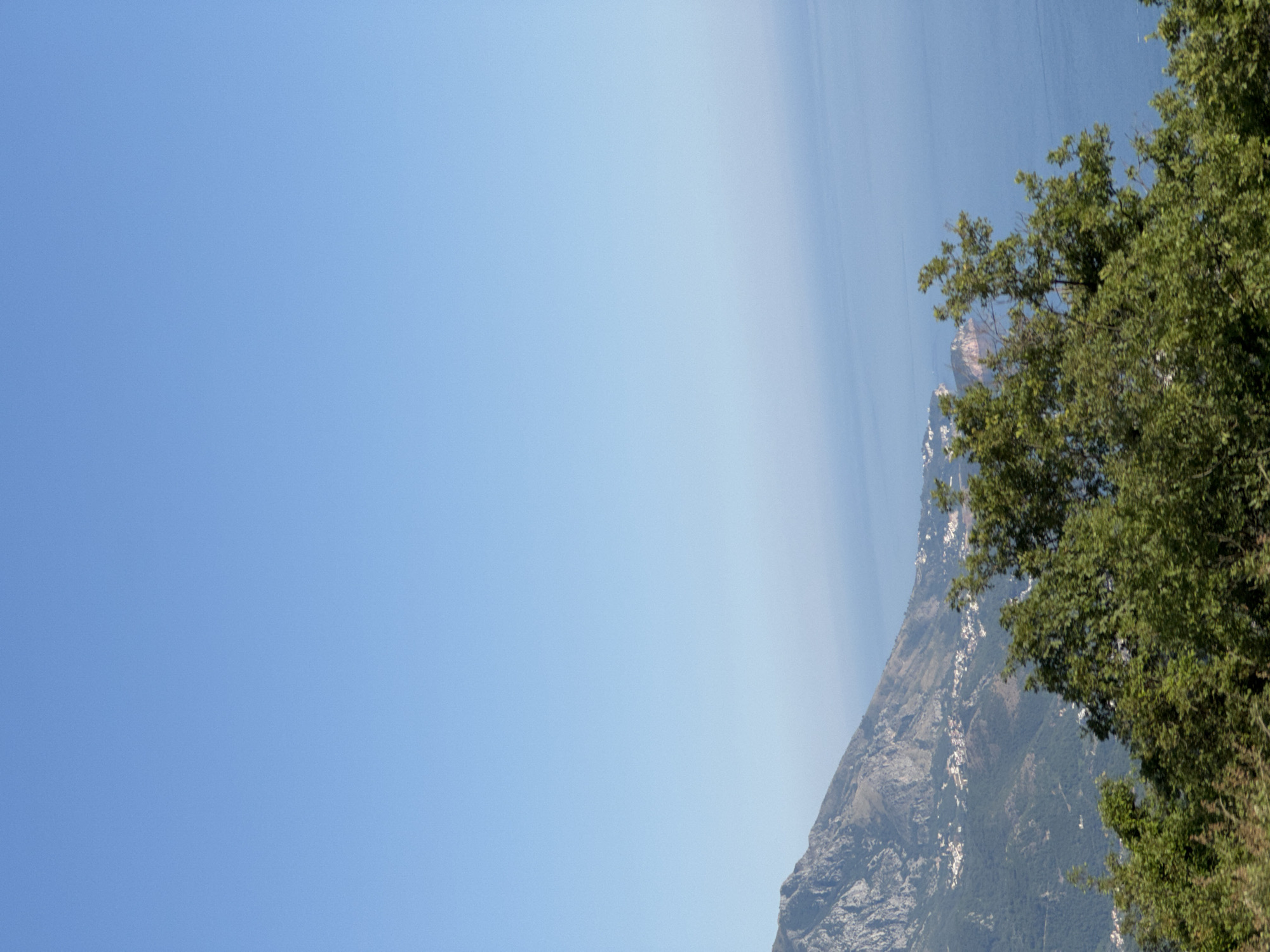 This image captures a coastal mountain landscape in the vicinity of Stanišići, Montenegro. The foreground is dominated by lush green trees with dense foliage, obscuring the lower part of the scene. Behind the trees, a mountainside slopes down towards the sea. The mountain is covered in vegetation, with scattered white buildings visible on its slopes, suggesting a settlement. The sea stretches out to the horizon, appearing calm and blue, with a faint haze blurring the distant coastline. The sky is a clear, bright blue, devoid of clouds. The overall impression is one of a tranquil, natural environment with a hint of human presence integrated into the landscape.