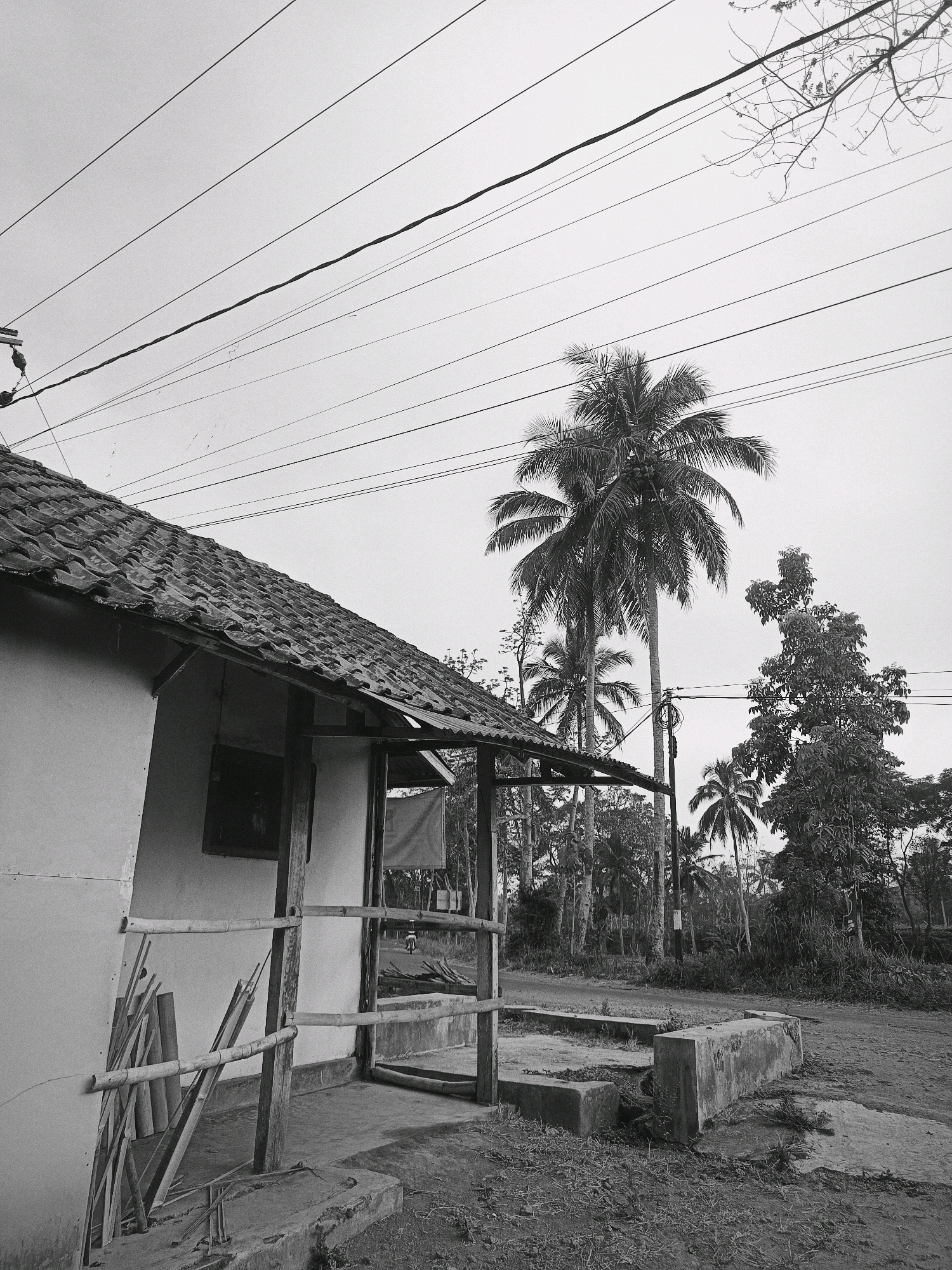 The black and white photograph depicts a rural scene in Tlogosari, Indonesia, dominated by a simple house and abundant vegetation. The house, partially visible on the left, has a tiled roof and a veranda with a bamboo railing. Various construction materials, including wooden planks and pipes, are leaning against the exterior wall of the house. In the background, several tall palm trees stand out, along with other trees and dense foliage. Multiple power lines crisscross the sky, adding a man-made element to the natural landscape. The ground appears to be unpaved, with patches of grass and concrete structures. The overall atmosphere is serene and rustic, suggesting a quiet village setting.