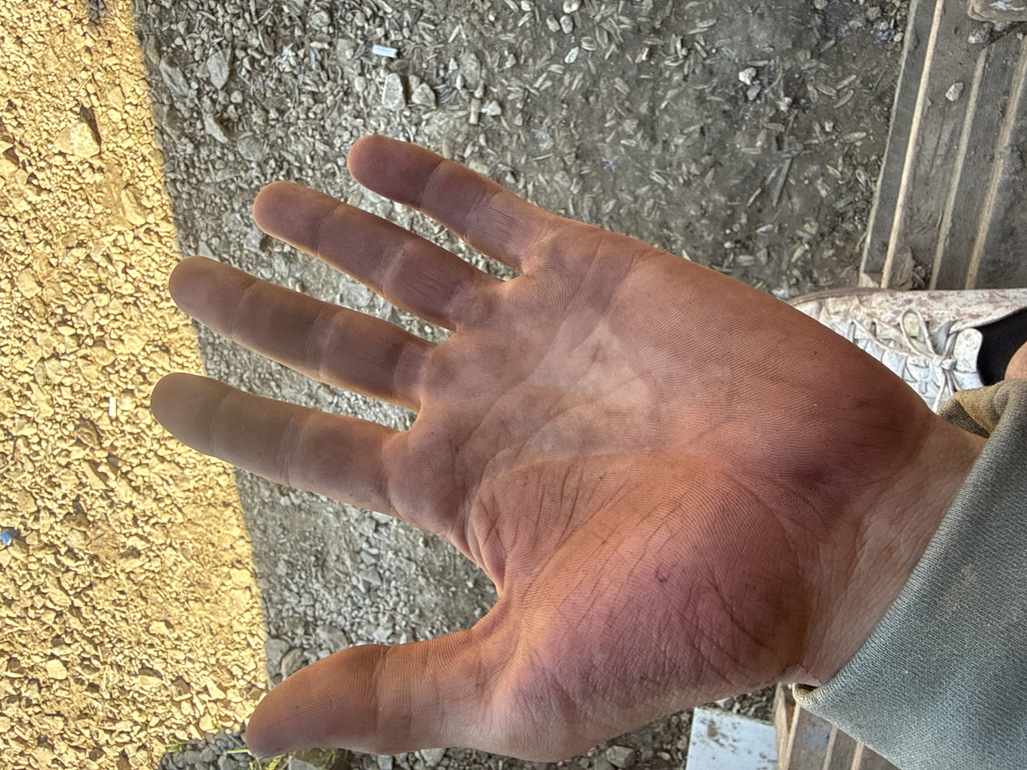 A close-up, over-the-shoulder view of a dirt-covered human hand is presented, palm up and fingers extended, against a background of gravel and dirt. The skin on the palm and fingers is reddish-brown with visible dirt ingrained in the creases. The fingernails also appear dirty. The person's forearm, covered by a light green sleeve, is visible at the bottom left. A portion of a white sneaker with light gray laces is visible at the bottom right, suggesting the person is standing. The environment appears to be outdoors, with a textured ground composed of small, light-colored stones and darker soil with debris. There are no identifiable landmarks or features that would indicate a specific location within Matchino, Russia.