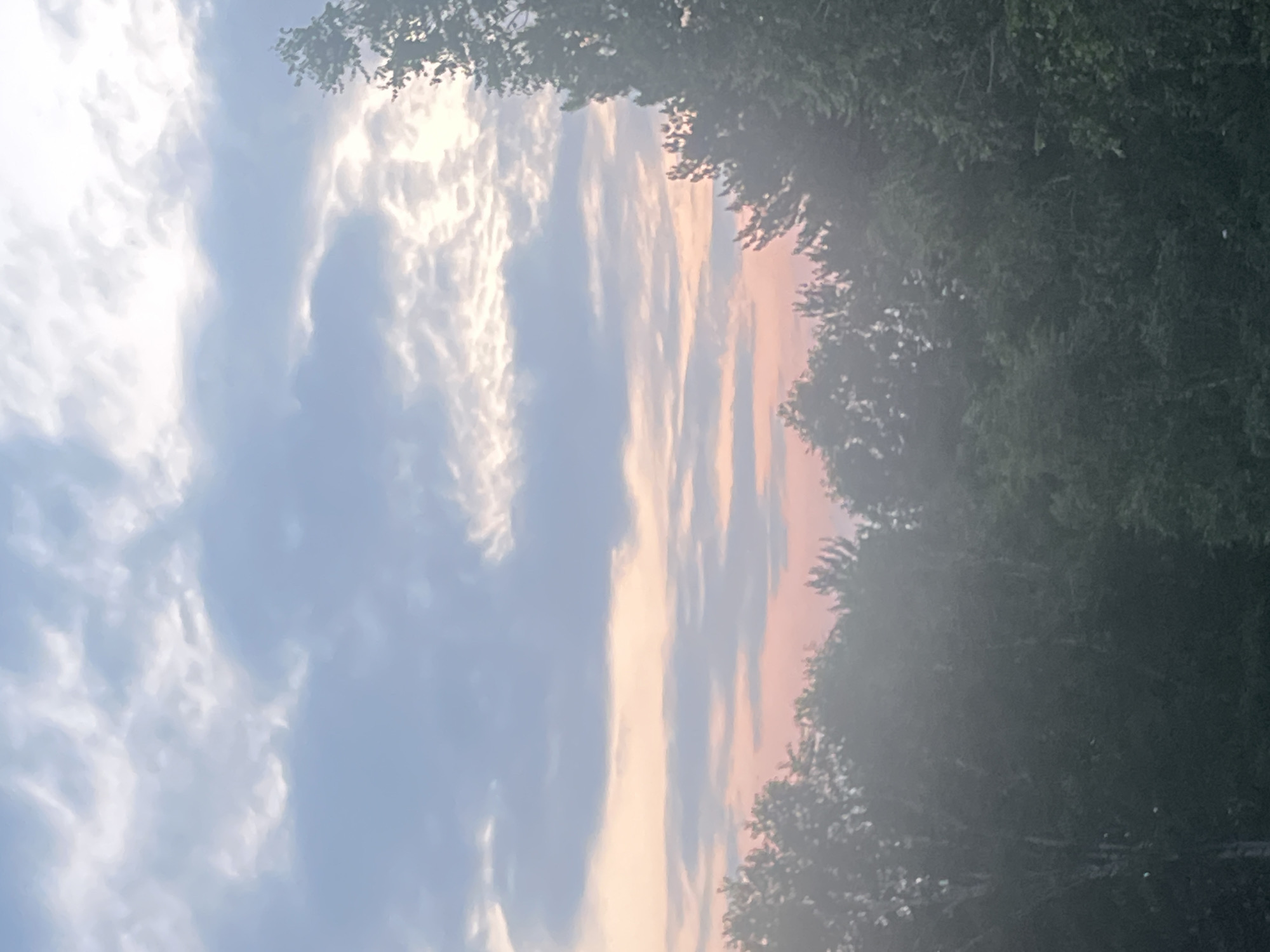 This is a vertical, somewhat blurry, outdoor photograph of a sky with clouds and trees. The sky takes up the majority of the frame, with the top left being a bright, almost white sky with wispy clouds. Moving towards the center, the clouds become larger and more defined, with streaks of light blue and grey. Towards the right side of the sky, there are faint hues of pink and orange, suggesting a sunset or sunrise.
The right side of the image is dominated by the dark silhouettes of trees, appearing dense and leafy. The foliage is a deep green, with some lighter green highlights. The trees are out of focus, adding to the overall softness of the image.
The scene appears to be natural, likely a park or wooded area. The lighting suggests it is either early morning or late evening. There are no people or specific objects visible in the frame. The overall mood is calm and serene, with the soft colors of the sky and the lushness of the trees creating a peaceful atmosphere. There is no visible text in the image.