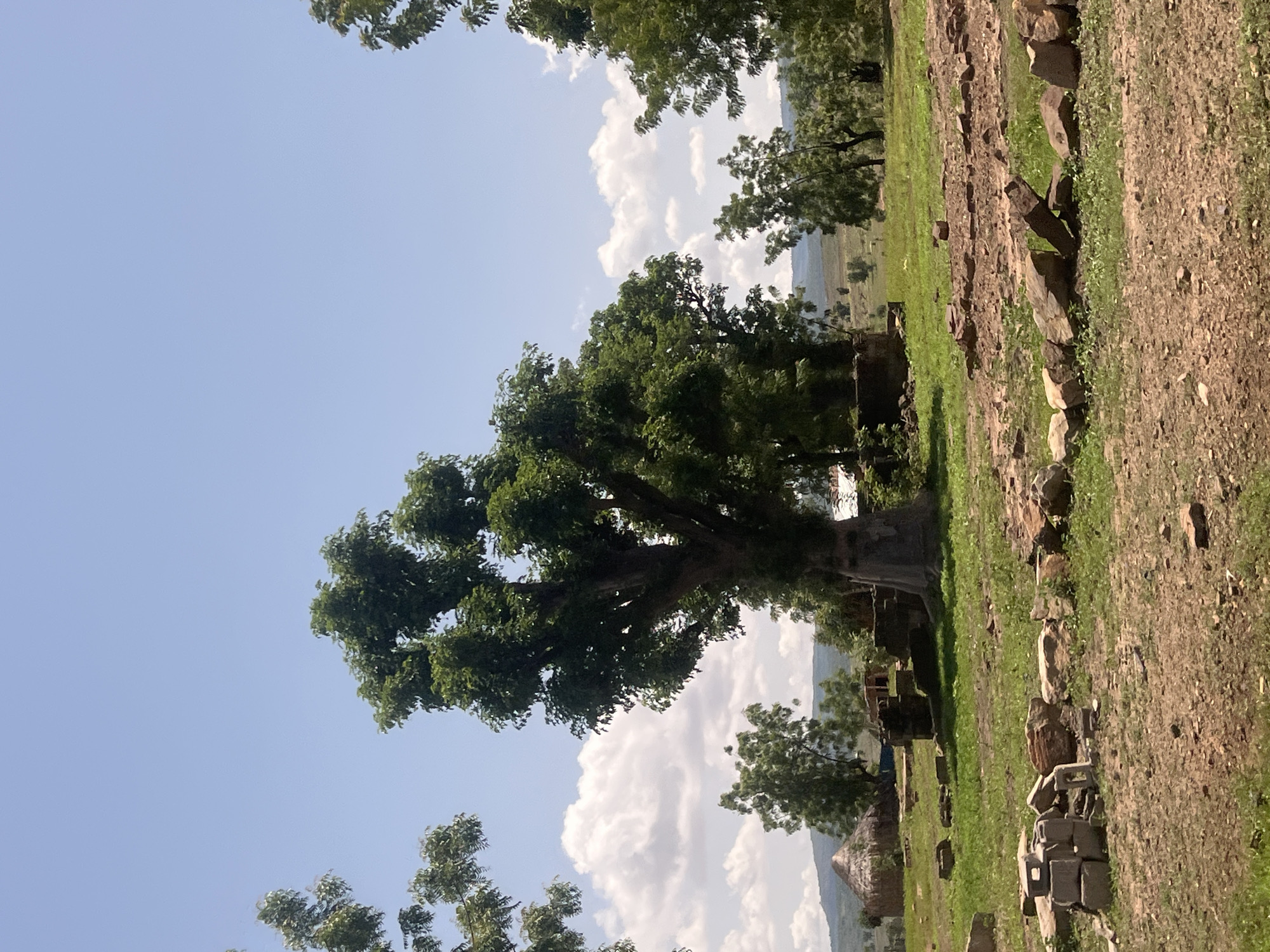 This image depicts a rural or semi-rural outdoor scene under a clear blue sky with scattered white cumulus clouds, reportedly located in the city of Kwarge, Nigeria. The terrain in the foreground consists of dry, reddish-brown soil with sparse patches of green grass, littered with various sizes of natural stones and rocks. In the lower left quadrant, a stack of grey concrete blocks is visible. The midground is dominated by a large, mature tree with a thick, light-colored trunk and dense green foliage. To the left of this central tree, a traditional circular hut with a conical thatched roof stands. Nearby, several low-lying, dark stone or mud structures are scattered on the ground. Additional green-leafed trees are visible in the midground and background, extending towards rolling hills or mountains that form the distant horizon. No individuals or specific actions are discernible within the frame.