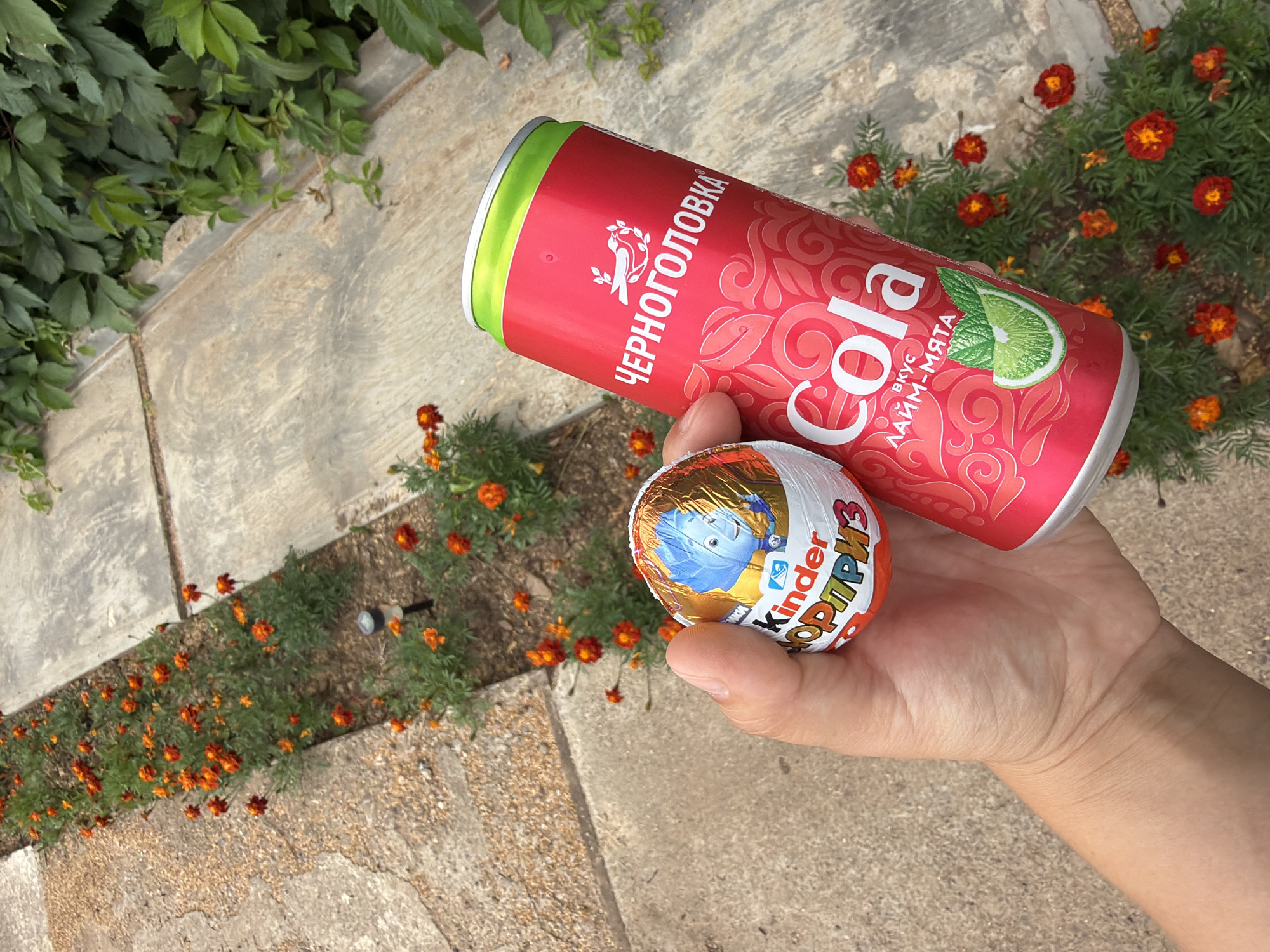 A person's hand holds a red and green can of Chernogolovka Cola flavored with lime and mint, next to a Kinder Surprise egg. The products are positioned in front of a flower bed with orange marigolds and a concrete pathway. Green ivy grows on a concrete structure in the background. The scene appears to be outdoors, possibly in a park or garden. The city of Chaykovskaya, Russia is mentioned in the prompt, but there are no specific visual cues to confirm this location.