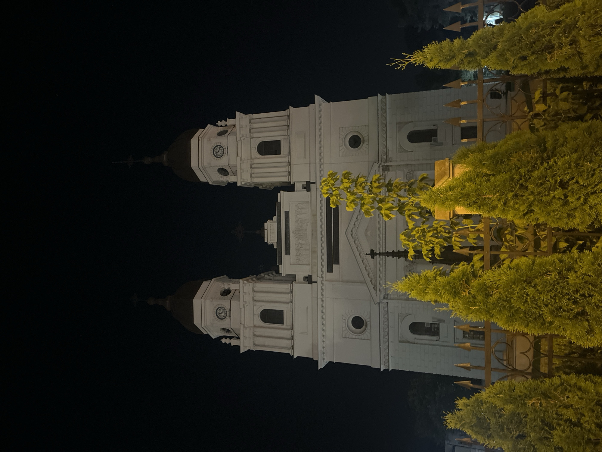 The image depicts the exterior of the Metropolitan Cathedral of Iași, Romania, at night. The grand white building features two prominent bell towers, each topped with a dark dome and a cross. Clocks are visible on the upper sections of both towers. A dark fence with pointed finials runs across the foreground, partially obscuring the view of the cathedral's base. Several evergreen trees with bright yellow-green foliage stand in front of the fence, illuminated by external lighting. The sky is completely dark, indicating the photograph was taken after sunset. No people are visible in the frame.