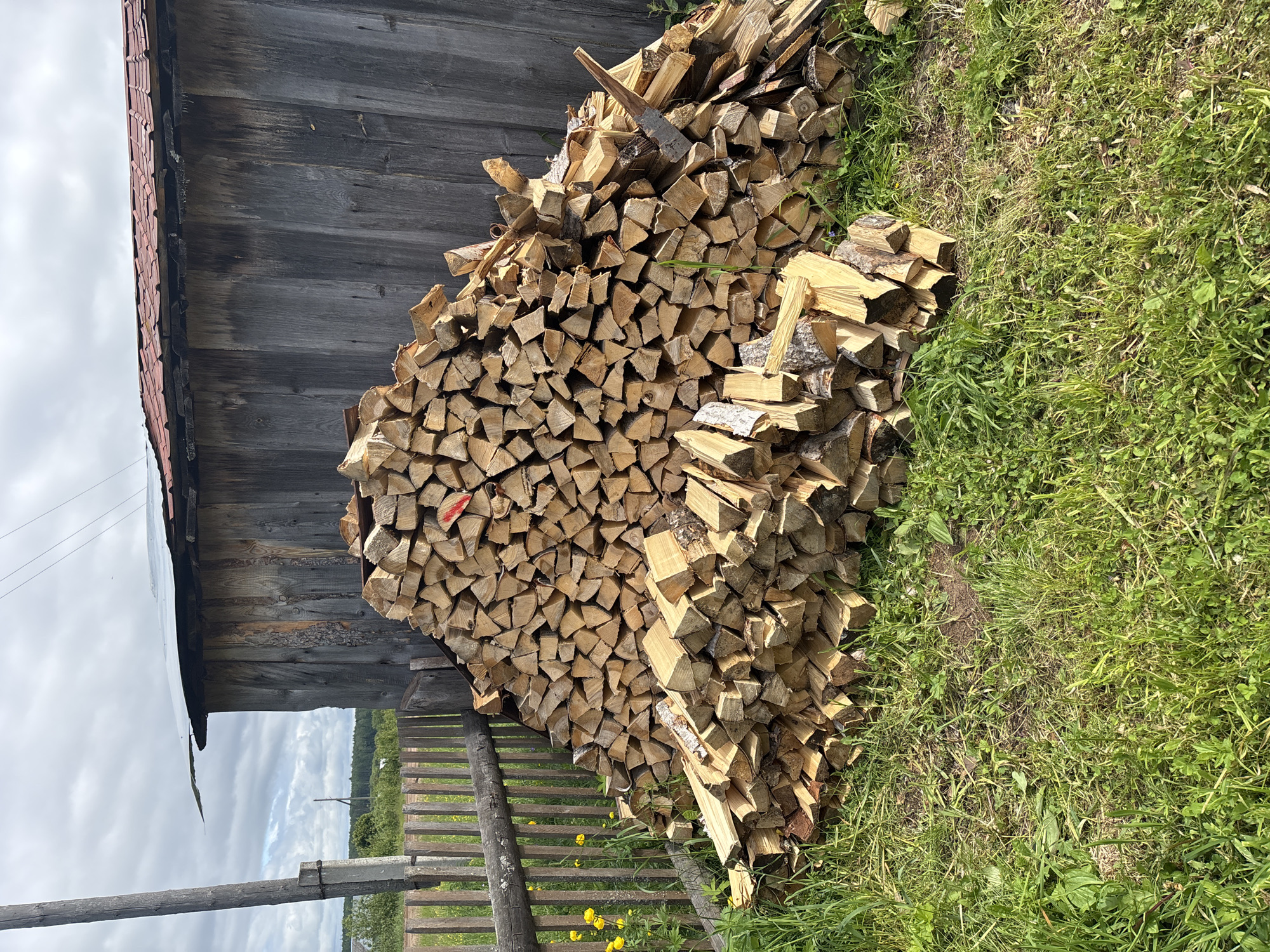 A large, irregularly shaped pile of split firewood is stacked in front of a weathered wooden structure with a corrugated metal roof. The firewood ranges in size, with some pieces showing bark. A red mark is visible on one of the logs near the top of the pile. To the left of the firewood is a rustic wooden fence. The scene is set outdoors on a grassy area with a cloudy sky overhead. The overall impression is one of a rural or semi-rural setting, possibly a backyard or storage area. The specific location in Kurgan, Russia, cannot be determined from the visual information alone.