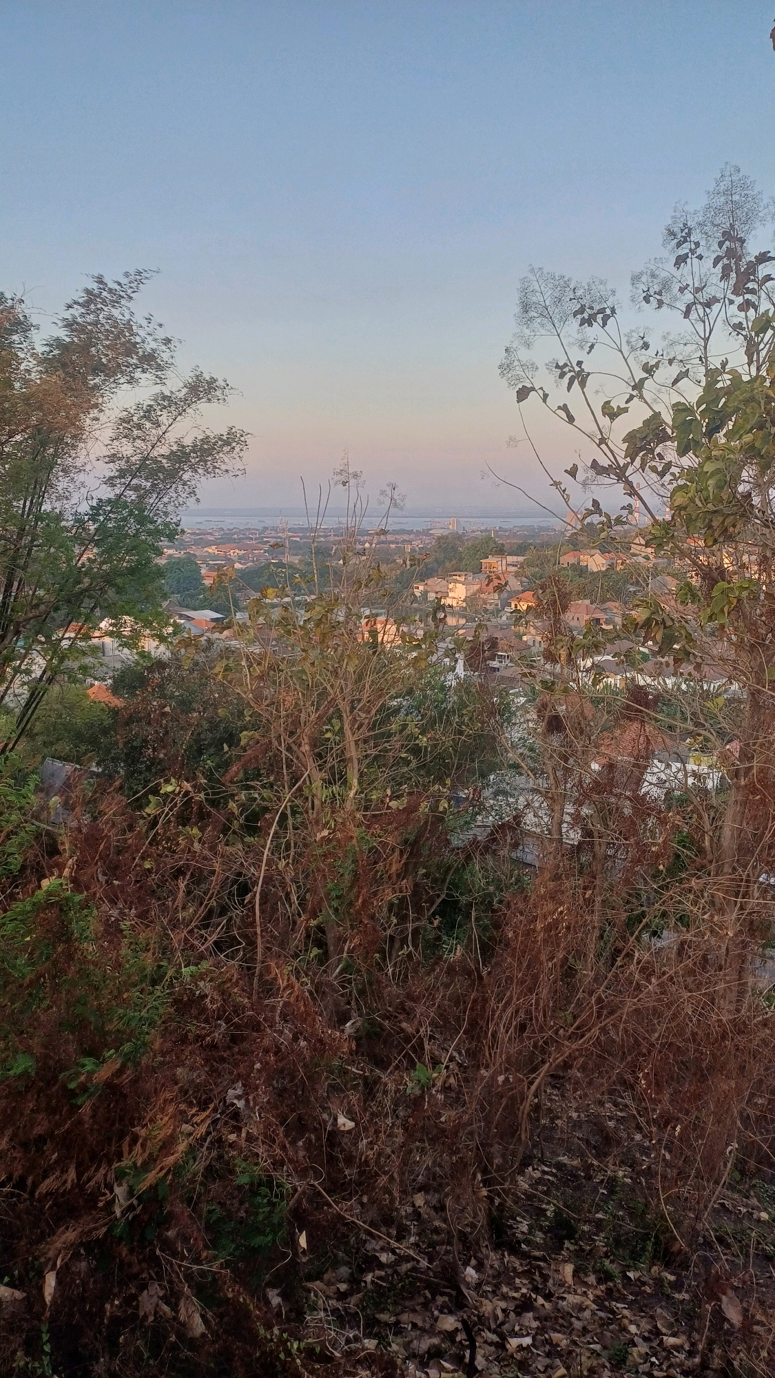 This is a vertical, eye-level, outdoor photograph taken at an elevated viewpoint overlooking a residential area during the late afternoon or early evening. The foreground is dominated by dense, dry vegetation with brown, twig-like branches and some sparse green foliage. Beyond this, a panorama of a town unfolds, characterized by numerous houses with orange and brown tiled roofs. The houses are clustered together, with some roads and trees visible between them. In the distance, a body of water can be seen, with faint structures or a bridge on the horizon. The sky above is a soft gradient of pale blue at the top, transitioning to a lighter, almost white hue near the horizon, suggesting the soft light of dusk or dawn. The overall impression is one of a peaceful, quiet evening over a suburban or semi-urban landscape in Tlogopatut, Indonesia. There are no people or animals visible in the image.