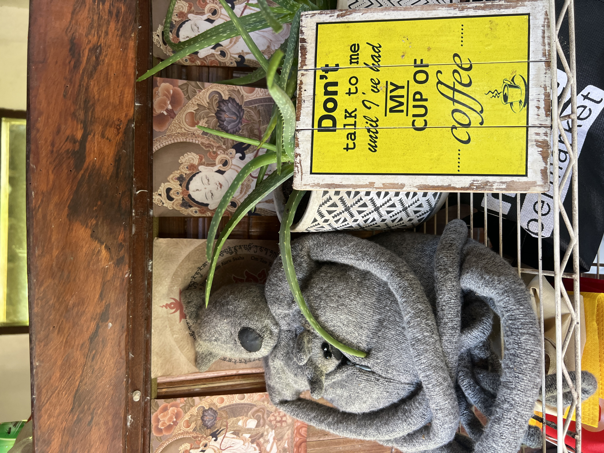 A top-down view shows an indoor shelf scene. On the left, is a dark wooden frame. On the shelf, decorative boxes with artwork of Asian figures are stacked. In the middle, sits a small black and white patterned pot containing an aloe vera plant. A gray knitted stuffed animal in the shape of a koala rests on top of the boxes and beneath the pot. Leaning against the plant is a yellow sign with black writing that reads, "Don't talk to me until I've had MY CUP OF coffee." To the right, a white wire shelf supports the items with various fabric scraps in the background. The photo was taken in Sukawati, Indonesia.