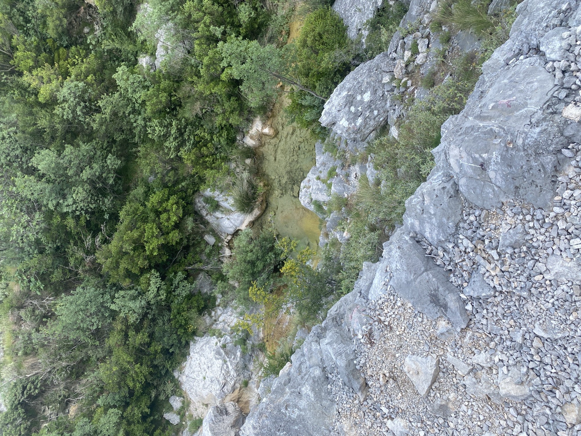 The image captures a top-down view of a verdant, rocky gorge or canyon, likely taken from a significant height. The scene is dominated by natural elements, with no human presence or man-made objects visible.
The left side of the frame is covered by a dense canopy of various green trees and shrubs, indicating lush vegetation on a steep slope. The foliage displays a range of green tones, from bright lime to darker forest green, suggesting different species and possibly varying light exposure.
Towards the center and extending into the middle-left, a narrow, winding stream or series of small pools flows. The water appears clear but has a distinct yellowish-green hue, possibly due to natural sediment, algae, or the reflection of the surrounding environment. The streambed is rocky and shallow. Along the edges of the water, more scattered vegetation and light-colored rocks are visible.
The right side and foreground of the image consist of a rugged, steep cliff face composed of large, light-grey boulders and smaller broken scree. Patches of sparse, hardy greenery cling to the cracks and crevices of these rocks. The texture of the rocks is rough and irregular.
The lighting suggests a clear daytime, likely midday or early afternoon, with bright, even illumination across the scene and minimal harsh shadows. The overall atmosphere is one of serene natural beauty and rugged wilderness. There is no visible text.