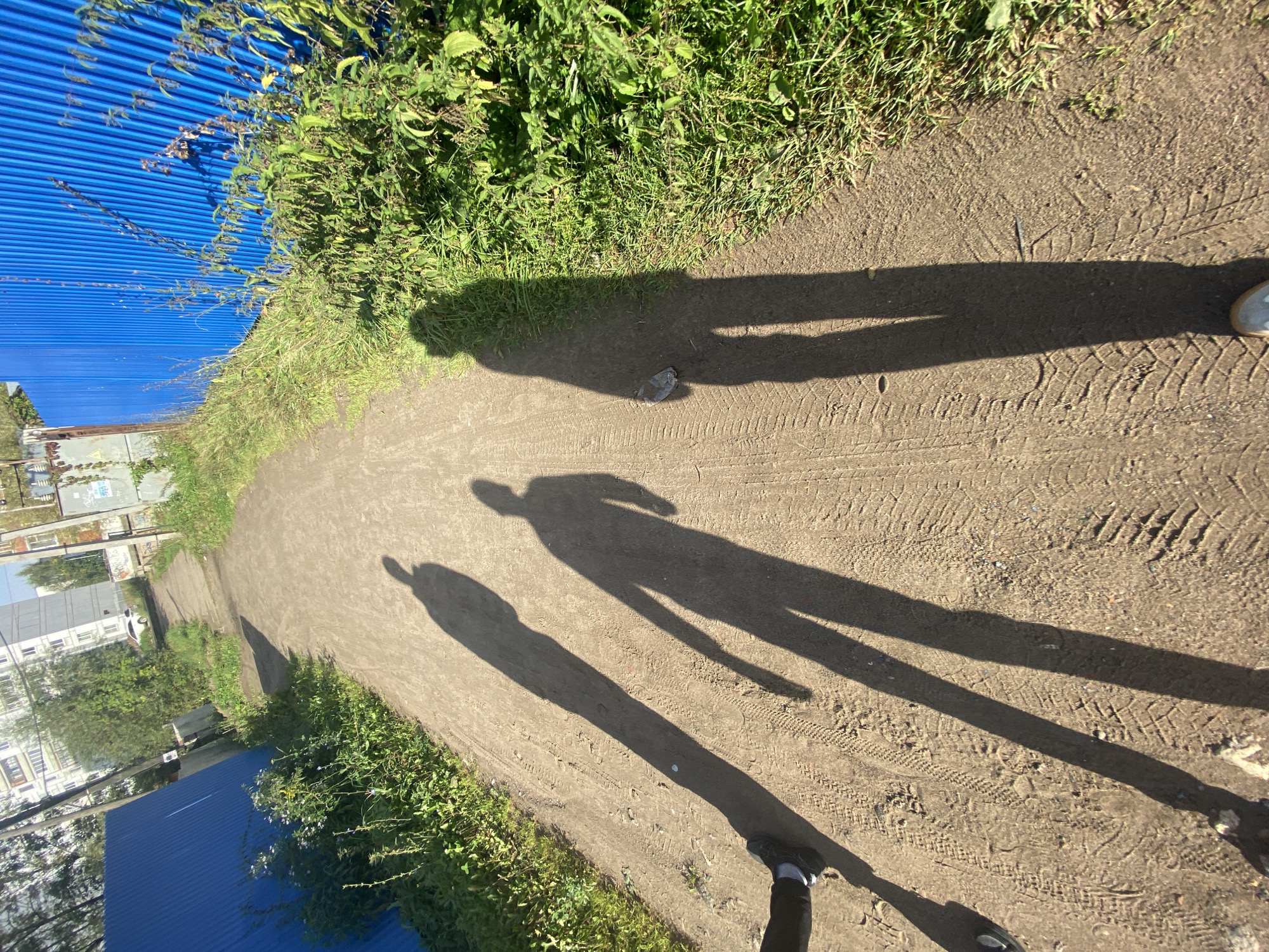 In Chaikovsky, Russia, on a sun-drenched day, a dirt path winds between a vibrant blue corrugated metal fence and overgrown green vegetation. The path is marked with tire tracks, suggesting vehicle or bicycle passage. Three distinct shadows of people are cast across the path and adjacent greenery, indicating their presence and direction of movement away from the viewer. The shadows are long and stretched, suggesting the sun is at a low angle, likely morning or late afternoon. In the background, apartment buildings and trees are visible, placing the scene within a semi-urban environment. The overall impression is one of a casual stroll or walk along a utilitarian path.