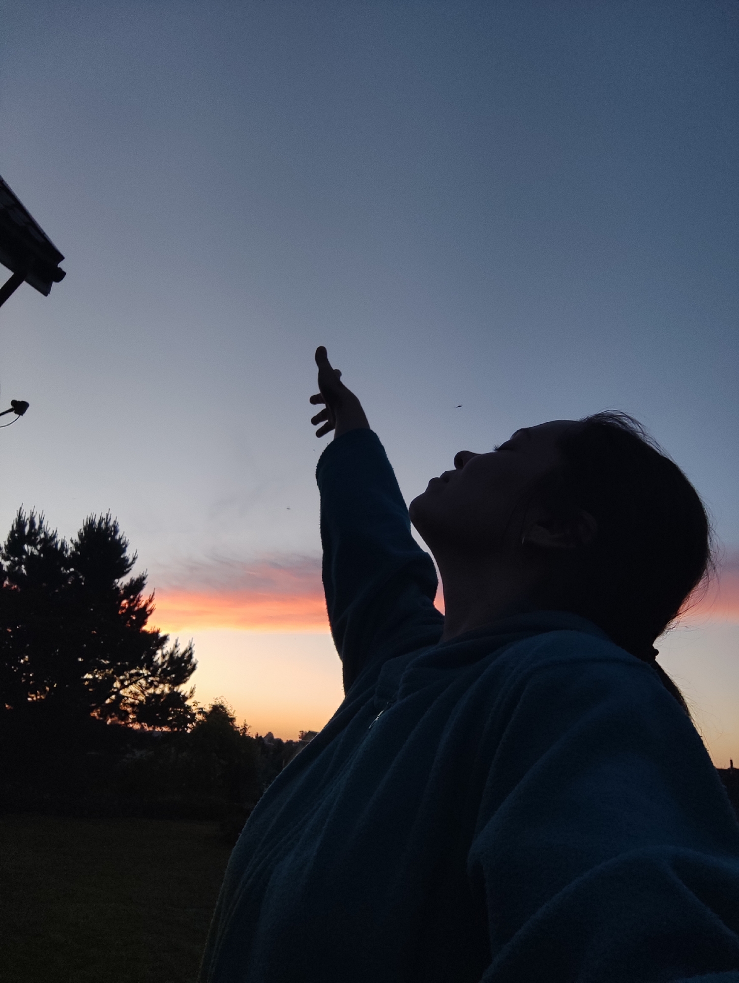 This outdoor photograph, taken in Фоки, Russia, features the silhouette of a person against a vibrant twilight sky. The individual, seen from the right side, has their head tilted upwards, gazing towards the expansive sky. Their right arm is raised and extended, with the hand pointing upwards, suggesting a gesture of wonder, observation, or reaching. The person is wearing a dark blue or teal long-sleeved top or jacket, visible in relief against the brighter horizon.
The sky dominates the upper two-thirds of the image, displaying a striking gradient of colors characteristic of sunset or twilight. It transitions from deep indigo and dark blue at the top to soft purples, and then to vivid oranges, pinks, and yellows along the horizon. Silhouetted trees with dense foliage are prominent on the left side of the frame, with a larger cluster near the horizon. A dark, angular structure, possibly part of a building or a bird feeder, is partially visible in the upper left corner. In the sky, a couple of tiny, dark specks, likely small birds or insects, are faintly discernible. The foreground is dark and indistinct, suggesting ground cover. The image conveys a serene and contemplative mood, emphasizing the natural beauty of the evening sky.