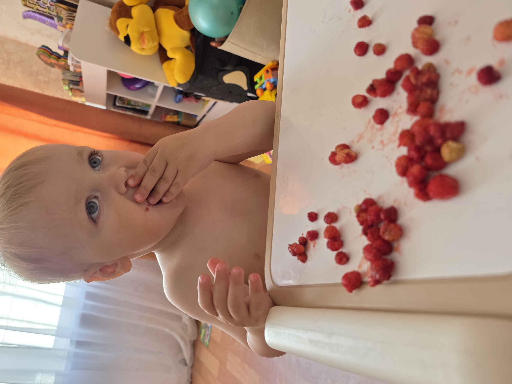 A young child with blonde hair and blue eyes is eating strawberries from a white tray. The child is in a room with orange curtains and a white shelf filled with toys and books. There is a stuffed monkey on the shelf. The child's left hand is covering their mouth, and their right hand is resting on the tray. The tray has several strawberries scattered on it, some of which have been eaten. The floor is wooden, and a white curtain is visible in the background. The location is stated to be the city of Chaikovsky, Russia.