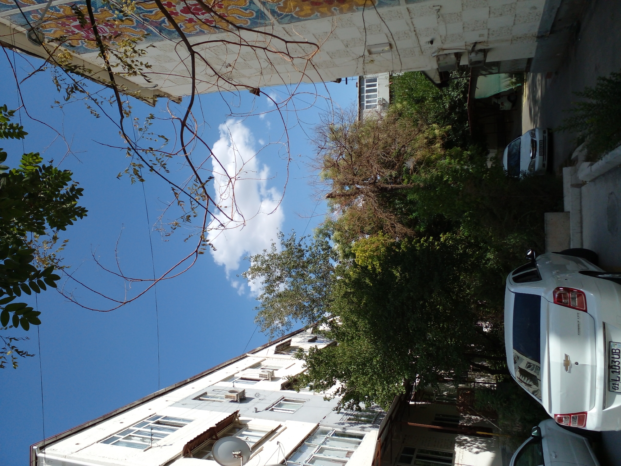 The image depicts a sunny day in an urban environment, likely in the city of Tashkent, Uzbekistan, as suggested by the license plate format on the white Chevrolet sedan. The scene is characterized by multi-story apartment buildings with light-colored facades, some featuring decorative elements. There is abundant greenery from trees and bushes, creating a somewhat overgrown feel in parts of the area.
In the foreground, a white Chevrolet sedan is parked, facing towards the viewer's left. Another white car is partially visible to the left of the Chevrolet. Further down the street, another white car is parked under a green tarp structure. The buildings show signs of wear, with some windows appearing older. Air conditioning units are visible on some of the building exteriors. Overhead, power lines crisscross the sky, and tree branches with sparse leaves extend into the frame. The sky is a clear blue with a few fluffy white clouds. The overall impression is a lived-in residential area with a mix of architectural styles and natural elements.